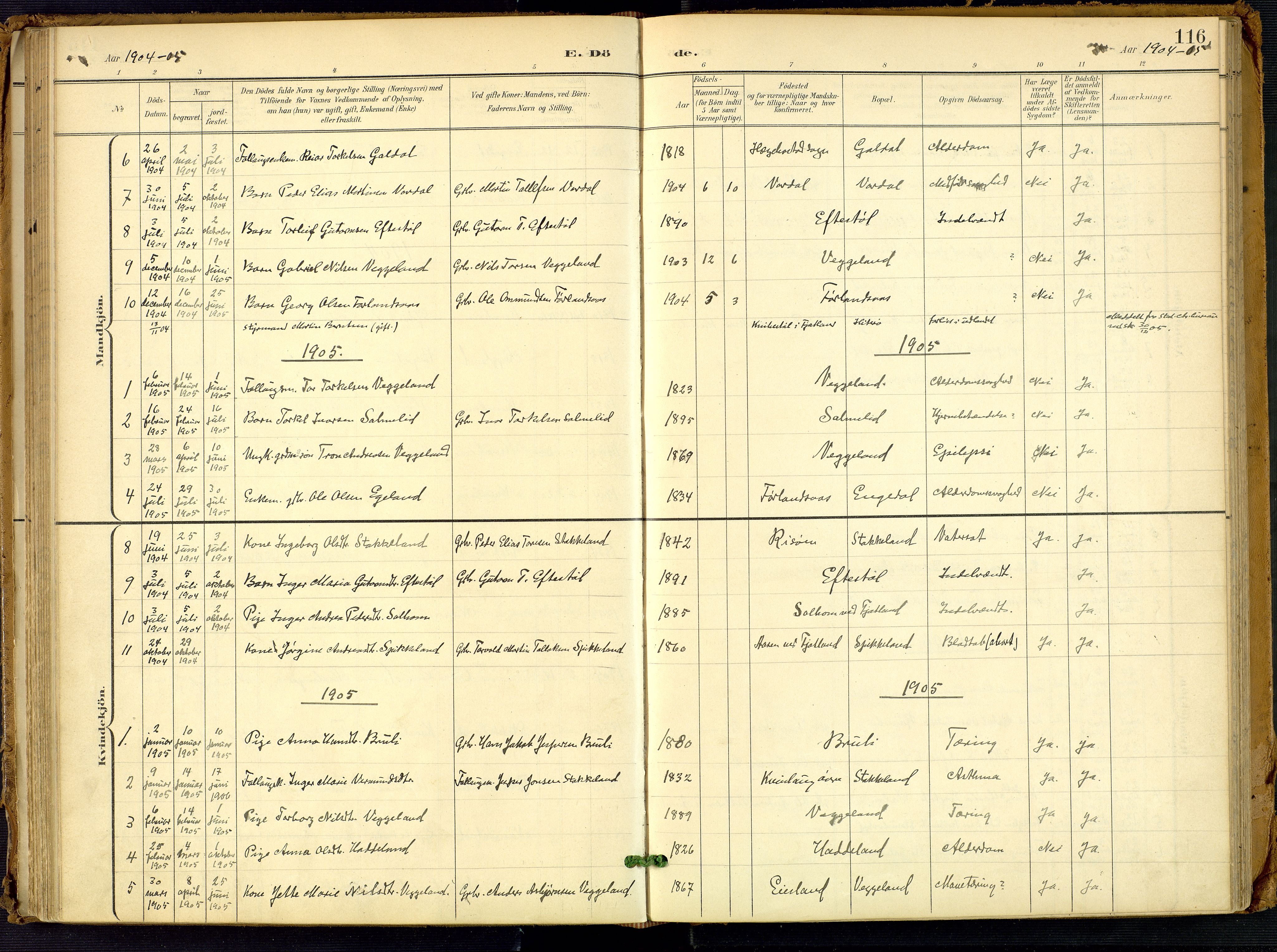 Fjotland sokneprestkontor, SAK/1111-0010/F/Fa/L0003: Ministerialbok nr. A 3, 1899-1917, s. 116