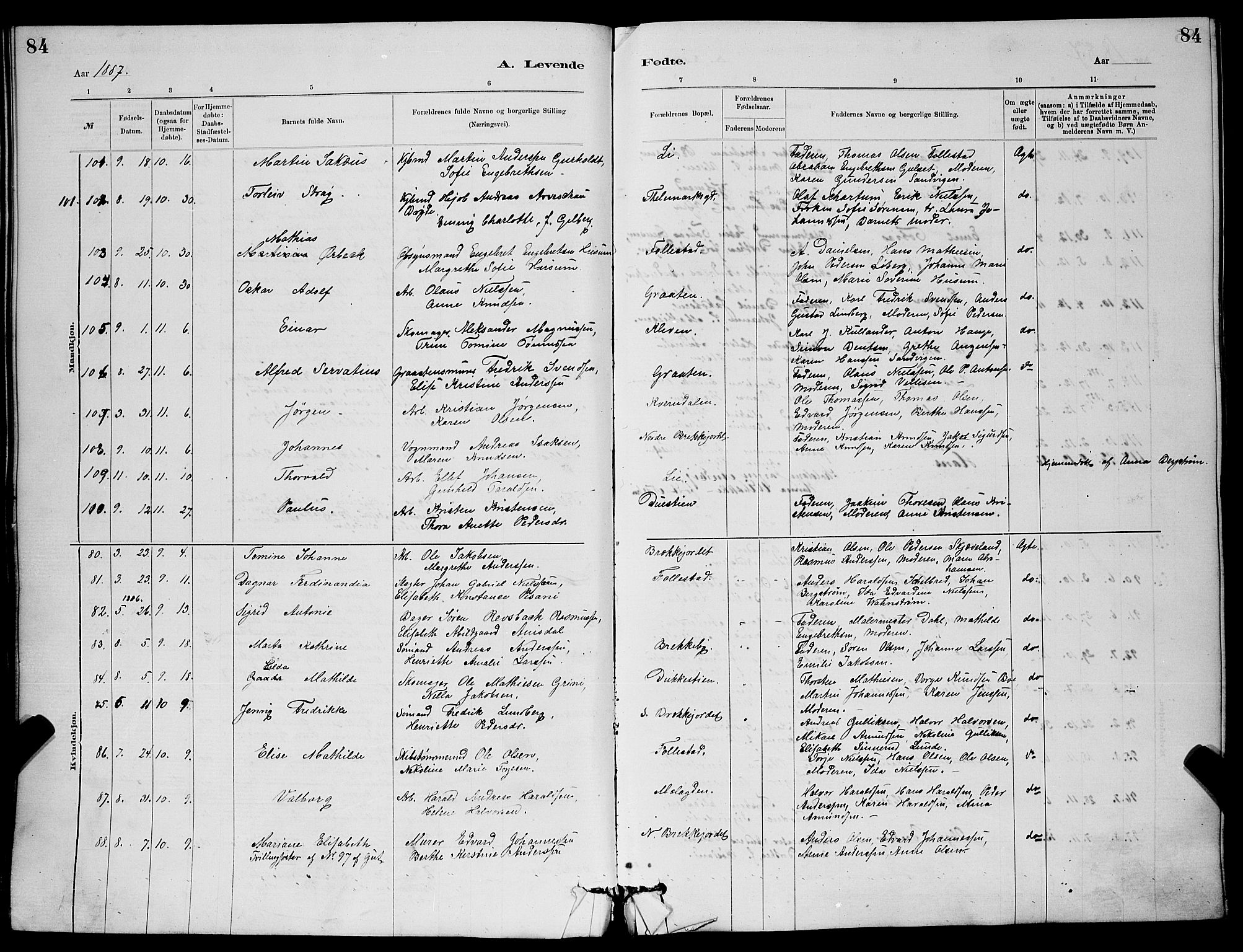 Skien kirkebøker, AV/SAKO-A-302/G/Ga/L0006: Klokkerbok nr. 6, 1881-1890, s. 84