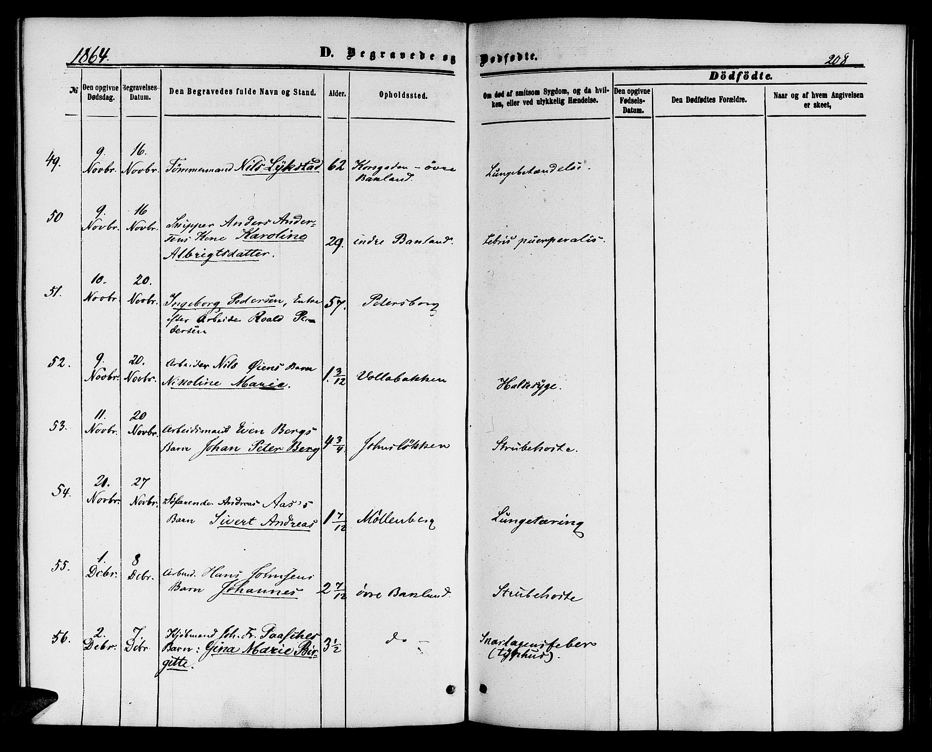 Ministerialprotokoller, klokkerbøker og fødselsregistre - Sør-Trøndelag, SAT/A-1456/604/L0185: Ministerialbok nr. 604A06, 1861-1865, s. 208