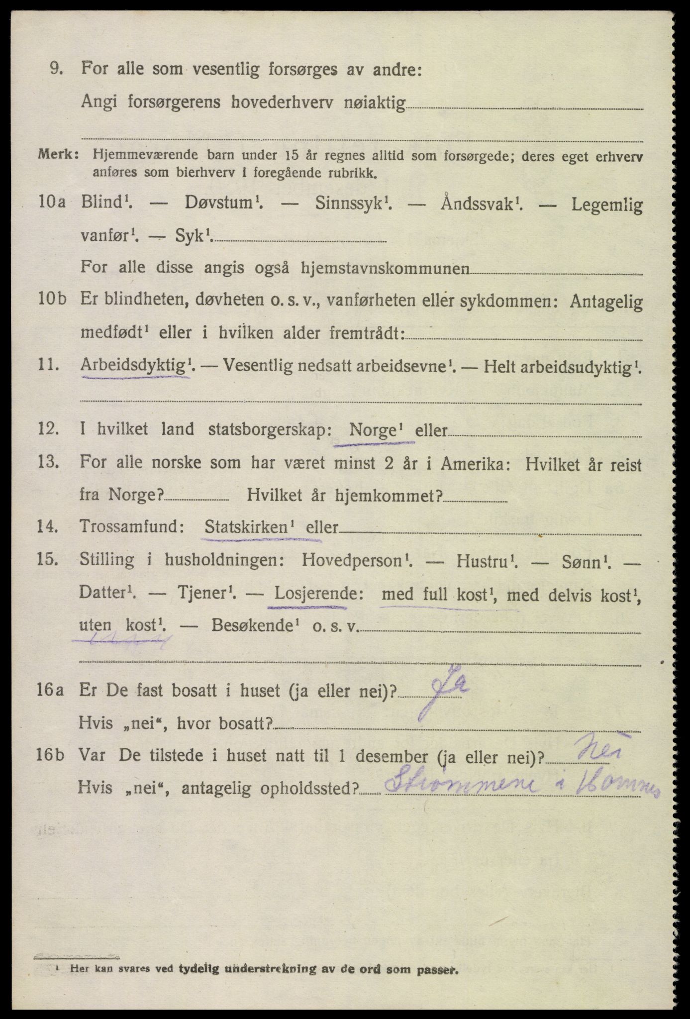 SAK, Folketelling 1920 for 0936 Hornnes herred, 1920, s. 894