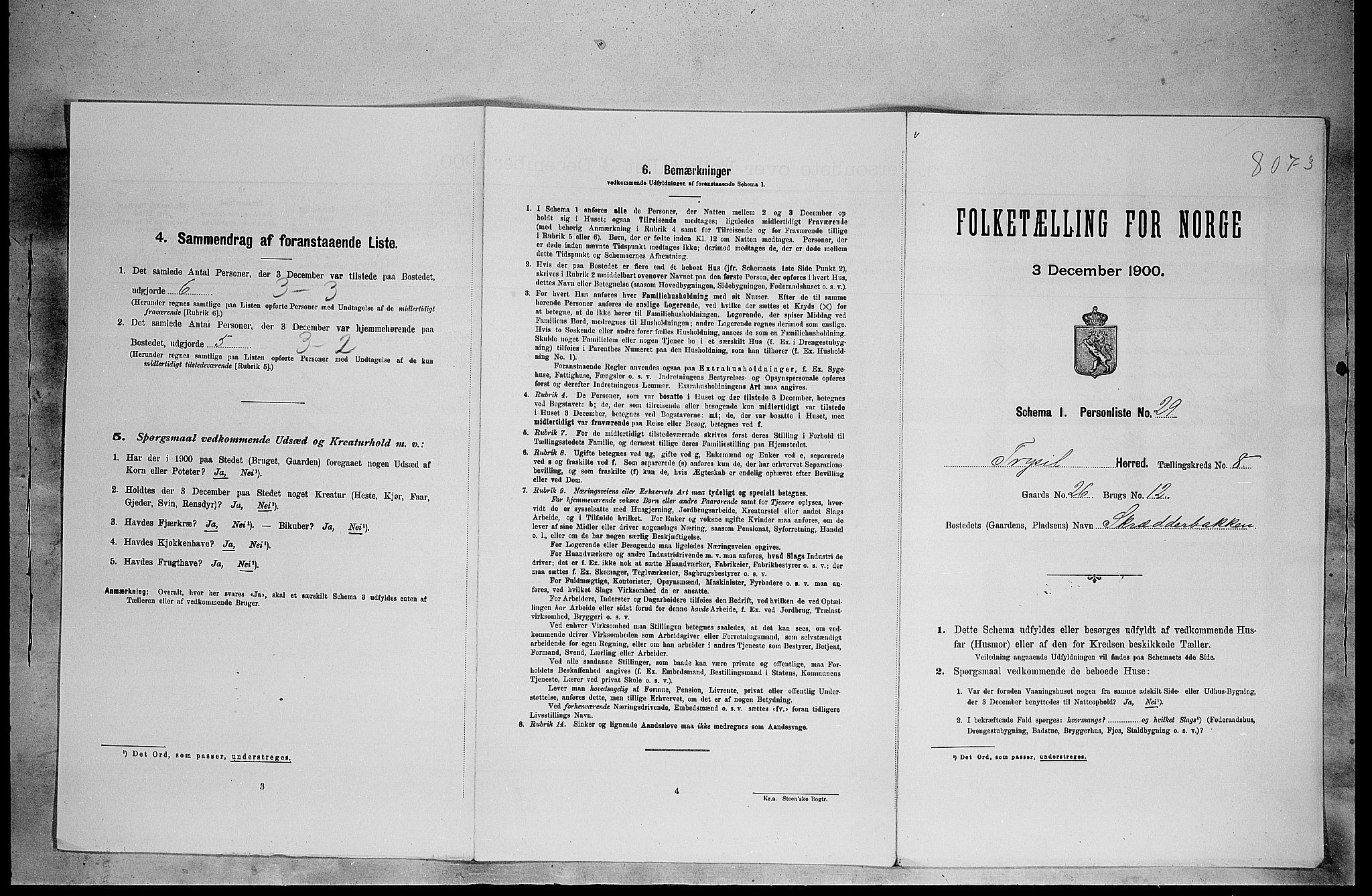 SAH, Folketelling 1900 for 0428 Trysil herred, 1900, s. 867