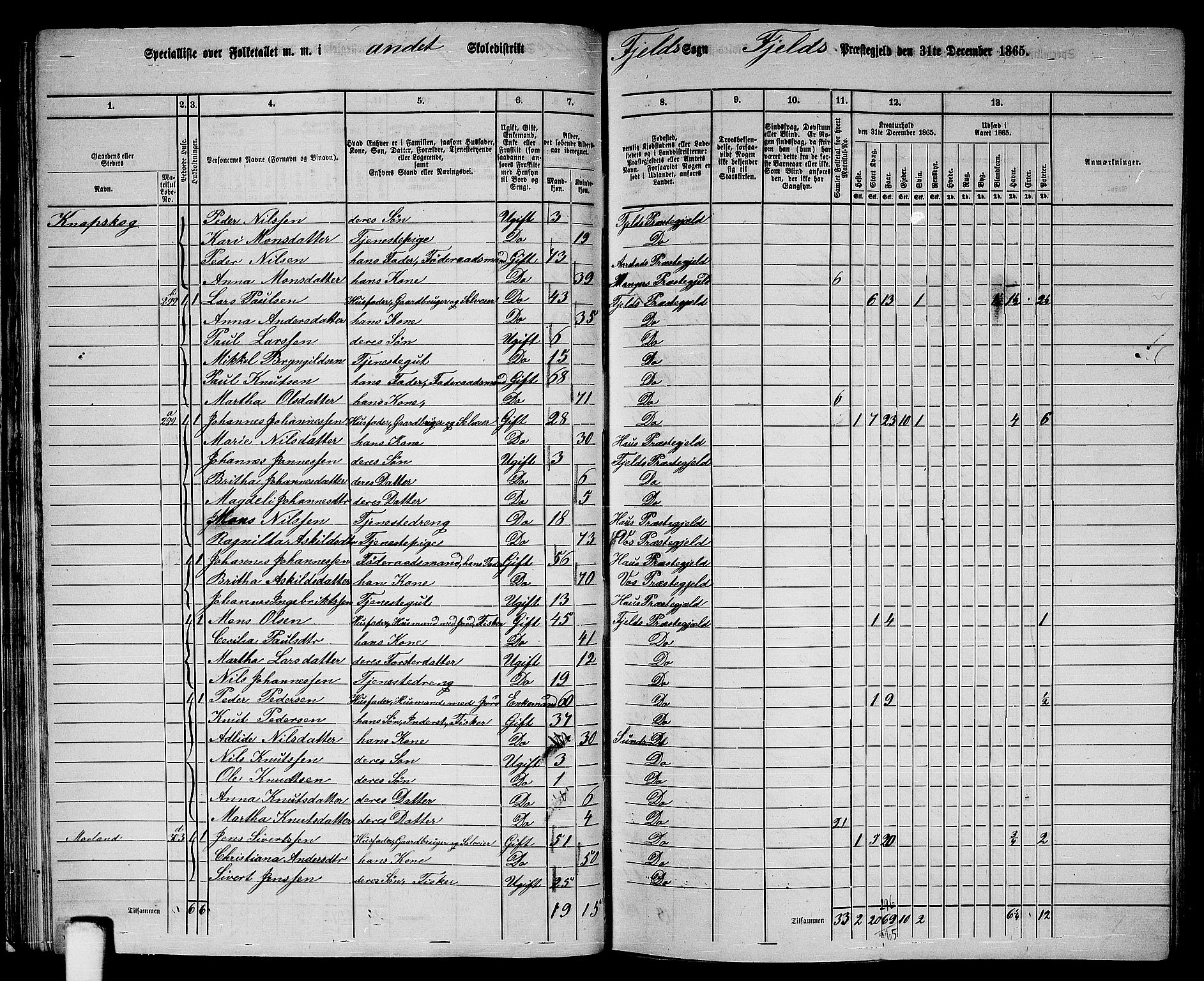 RA, Folketelling 1865 for 1246P Fjell prestegjeld, 1865, s. 35