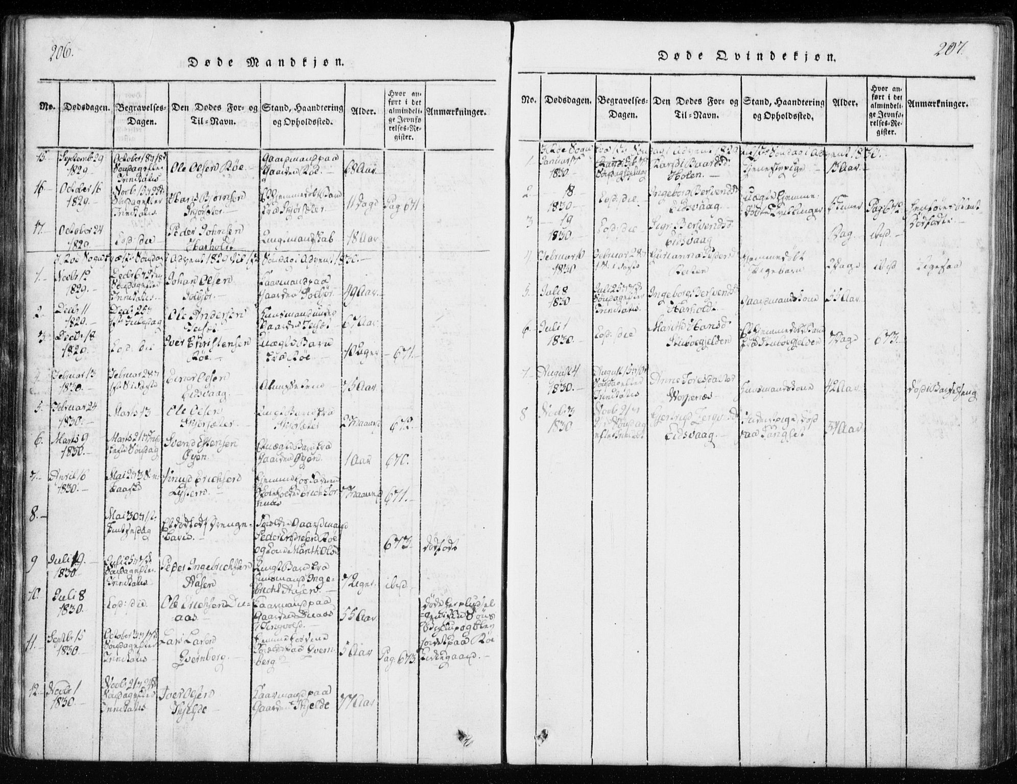 Ministerialprotokoller, klokkerbøker og fødselsregistre - Møre og Romsdal, AV/SAT-A-1454/551/L0623: Ministerialbok nr. 551A03, 1818-1831, s. 206-207