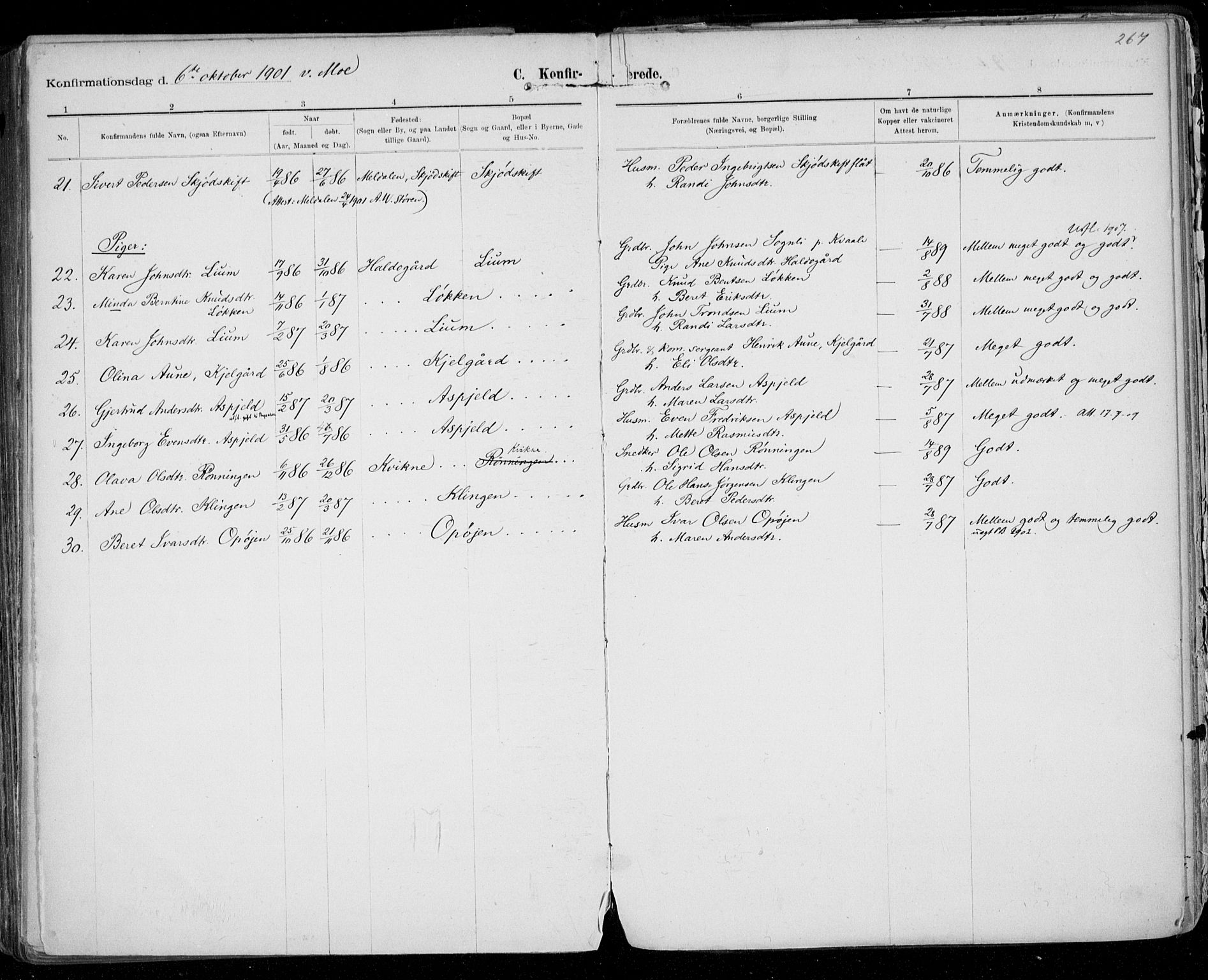 Ministerialprotokoller, klokkerbøker og fødselsregistre - Sør-Trøndelag, SAT/A-1456/668/L0811: Ministerialbok nr. 668A11, 1894-1913, s. 267
