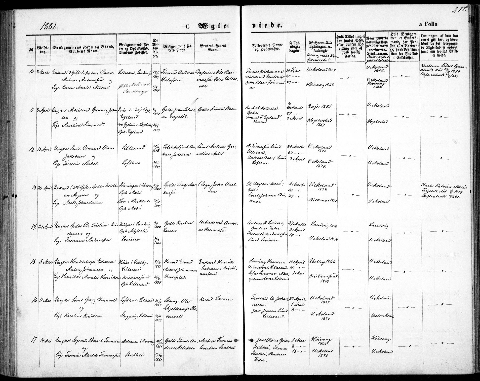 Vestre Moland sokneprestkontor, AV/SAK-1111-0046/F/Fb/Fbb/L0005: Klokkerbok nr. B 5, 1872-1883, s. 217