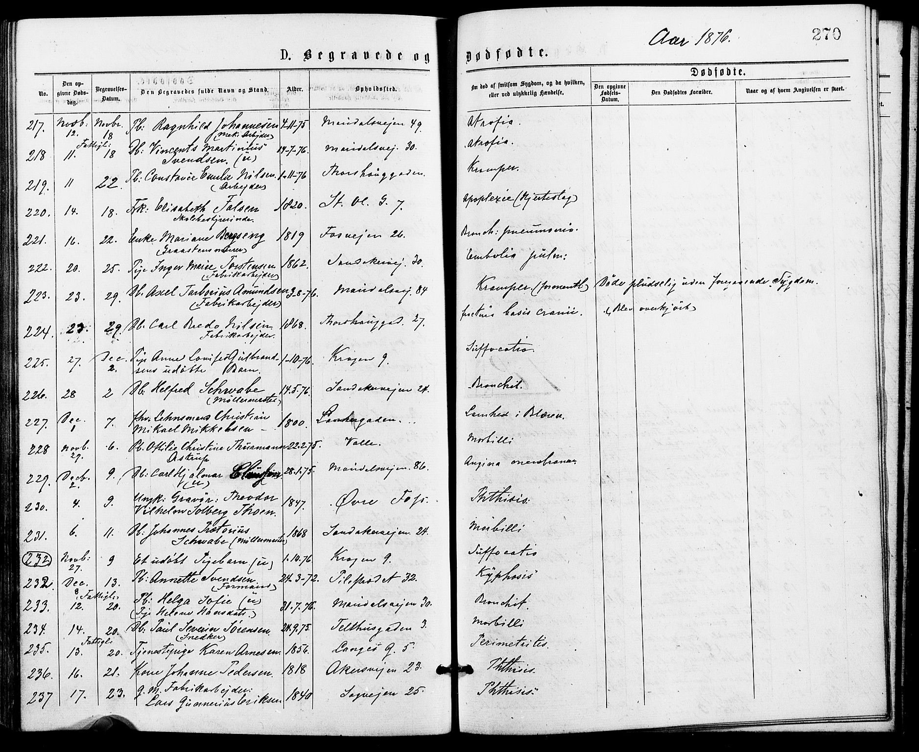 Gamle Aker prestekontor Kirkebøker, AV/SAO-A-10617a/G/L0004: Klokkerbok nr. 4, 1875-1879, s. 270