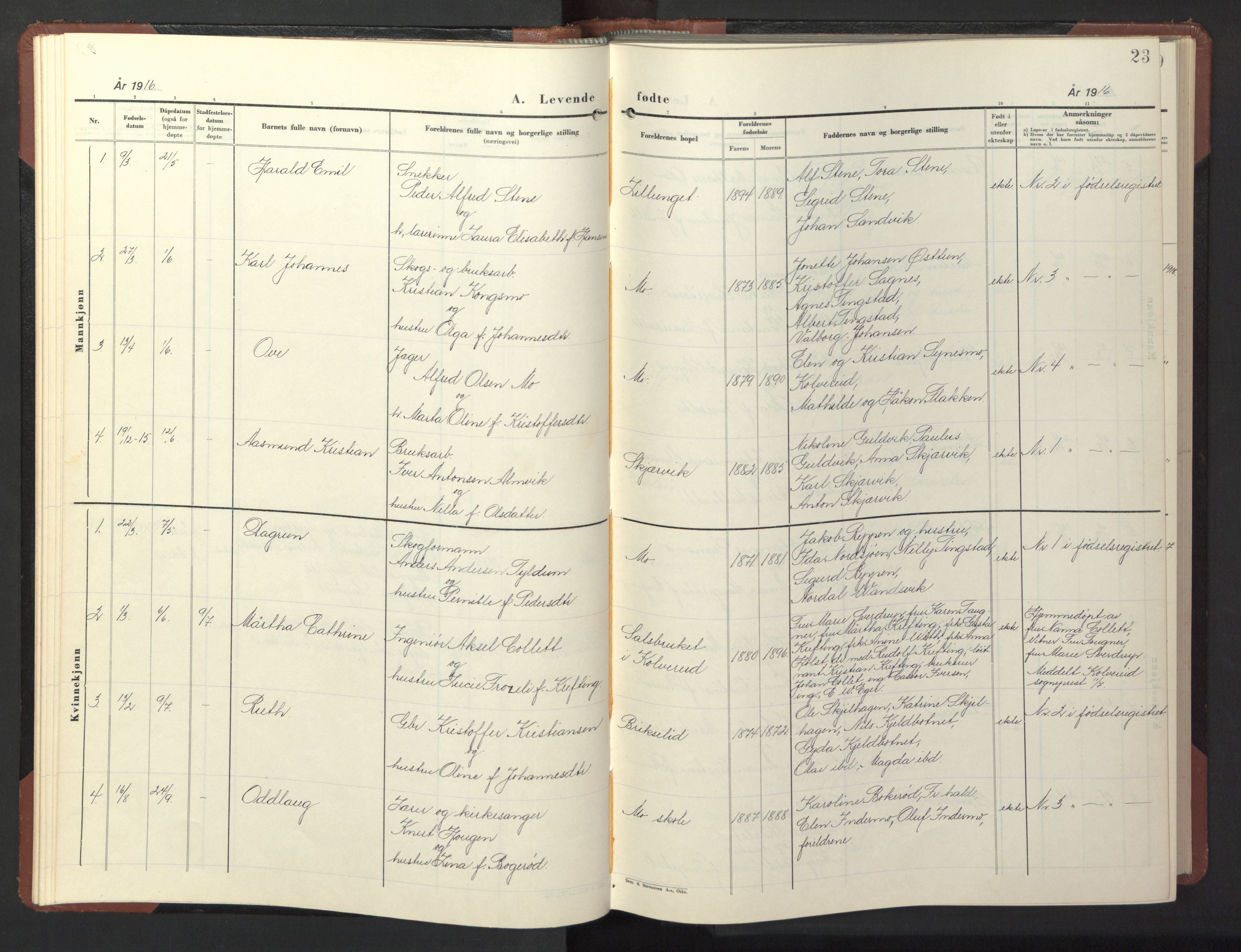 Ministerialprotokoller, klokkerbøker og fødselsregistre - Nord-Trøndelag, AV/SAT-A-1458/773/L0625: Klokkerbok nr. 773C01, 1910-1952, s. 23