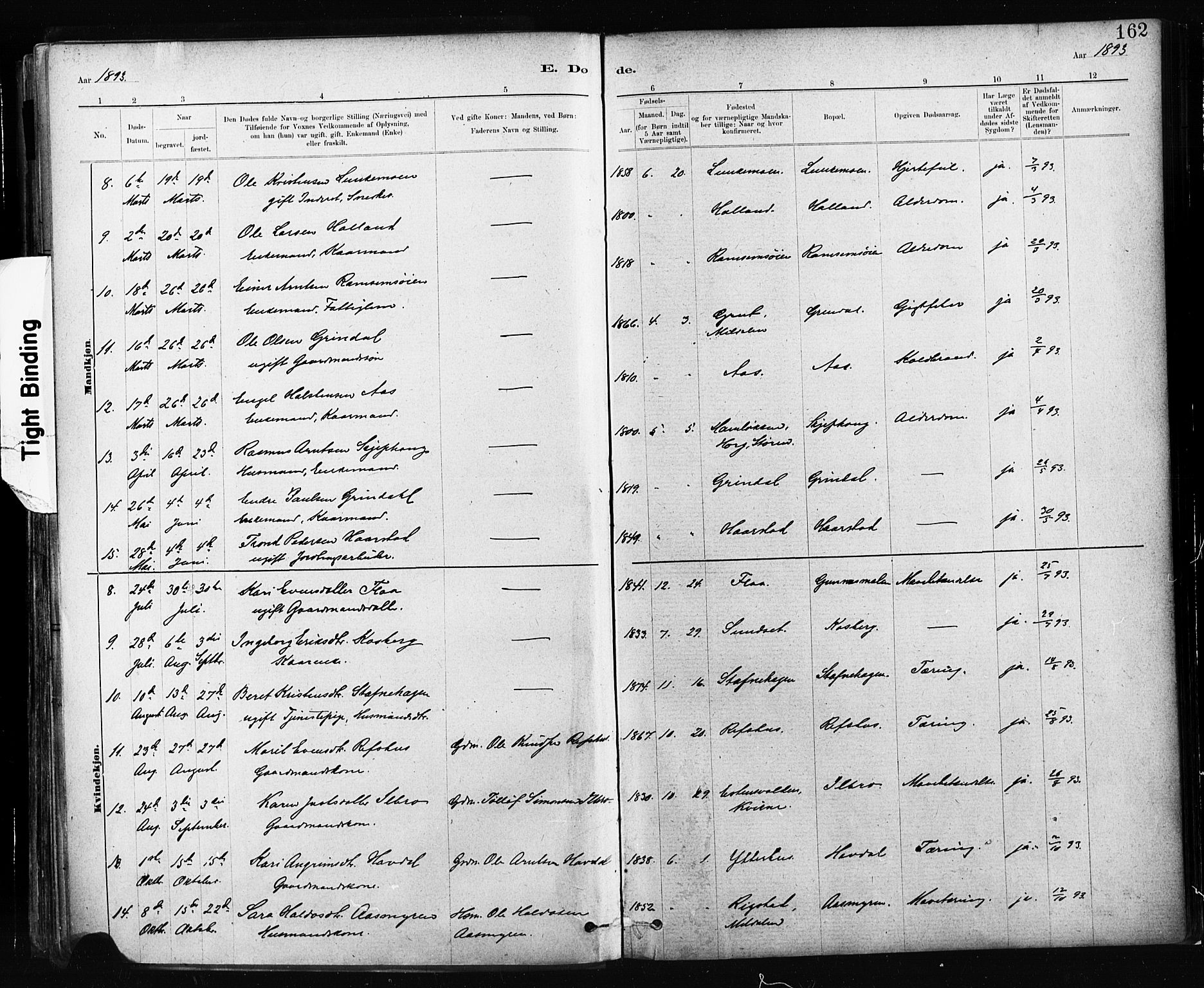 Ministerialprotokoller, klokkerbøker og fødselsregistre - Sør-Trøndelag, SAT/A-1456/674/L0871: Ministerialbok nr. 674A03, 1880-1896, s. 162