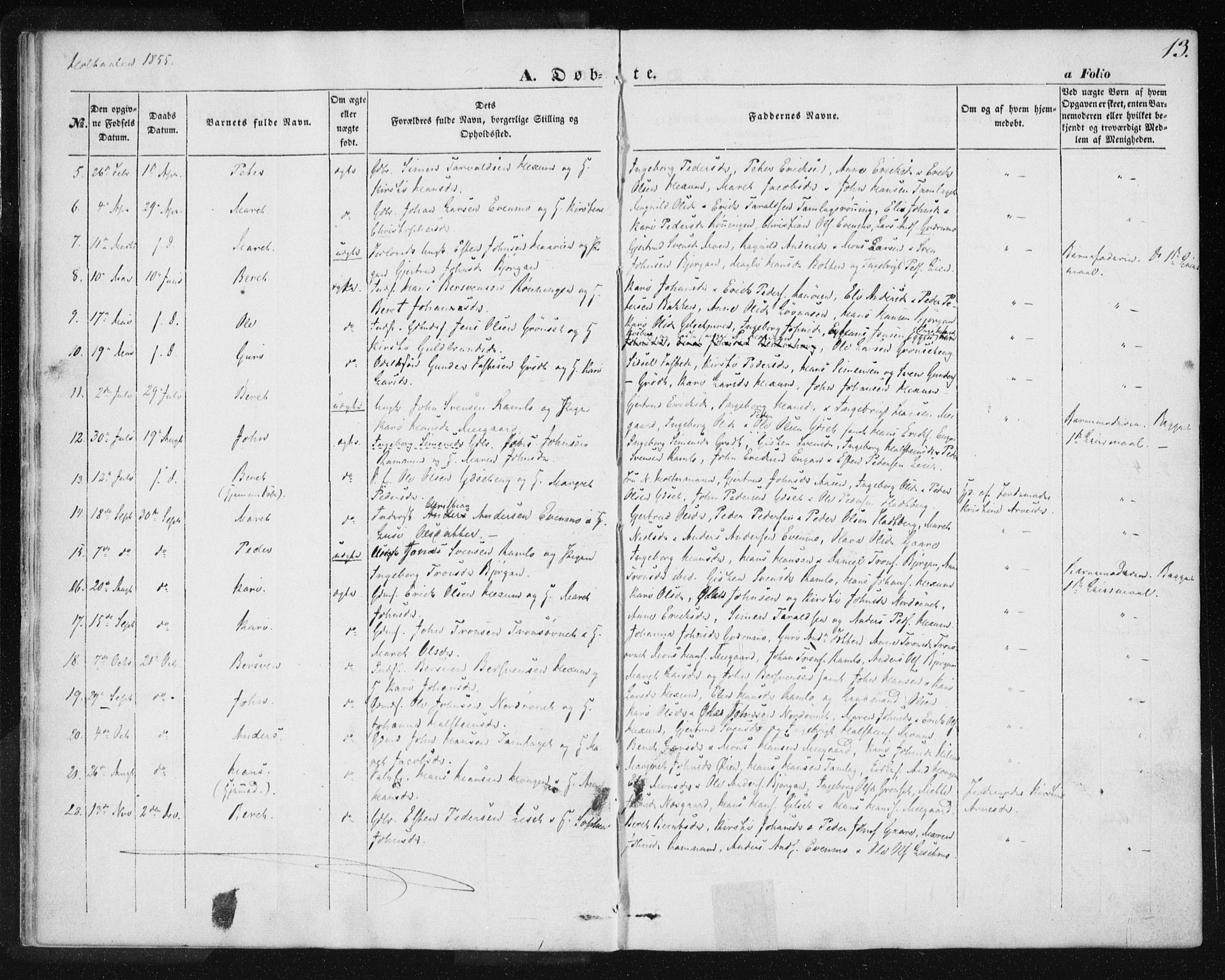 Ministerialprotokoller, klokkerbøker og fødselsregistre - Sør-Trøndelag, SAT/A-1456/685/L0963: Ministerialbok nr. 685A06 /1, 1846-1859, s. 13