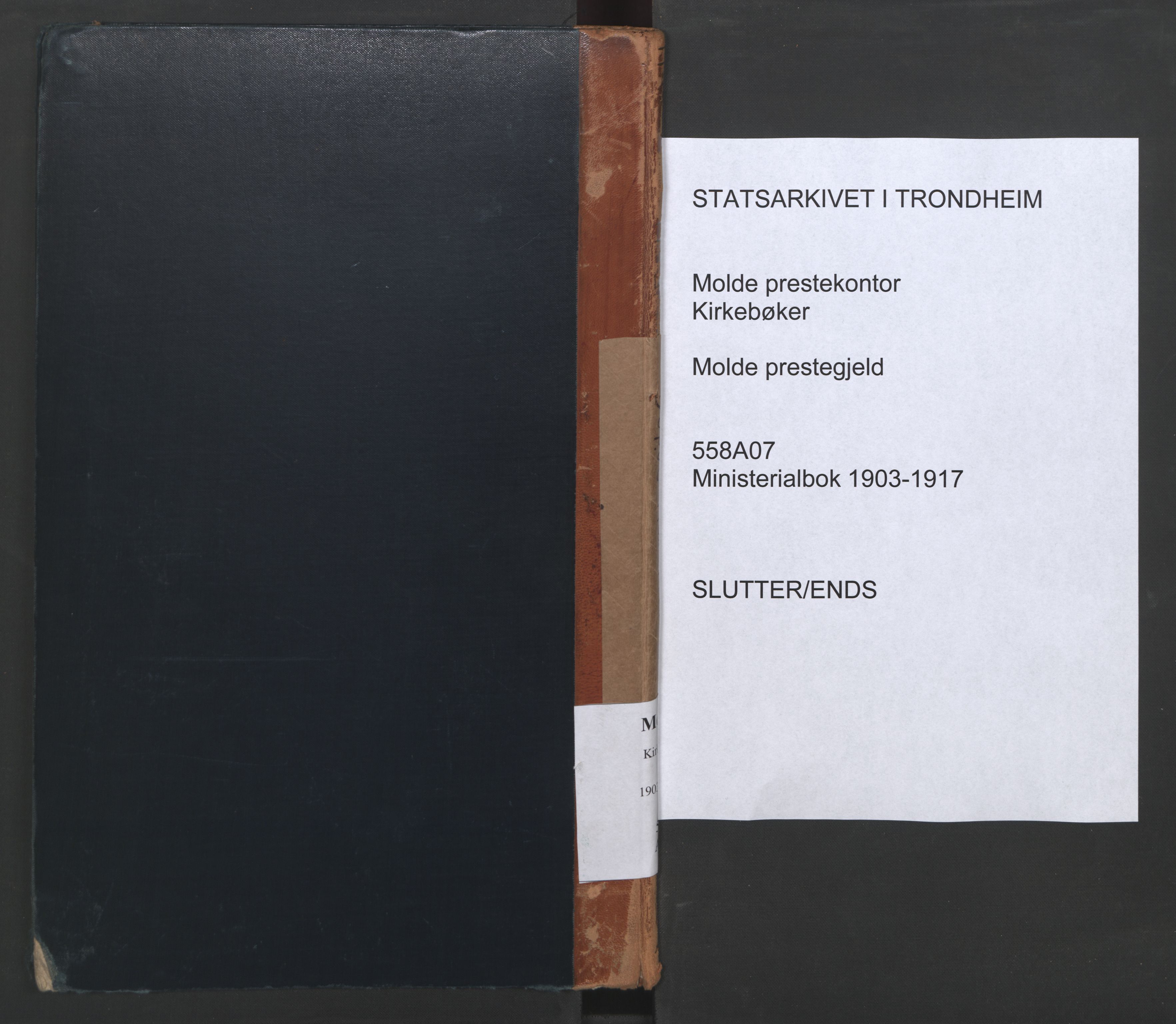 Ministerialprotokoller, klokkerbøker og fødselsregistre - Møre og Romsdal, SAT/A-1454/558/L0693: Ministerialbok nr. 558A07, 1903-1917
