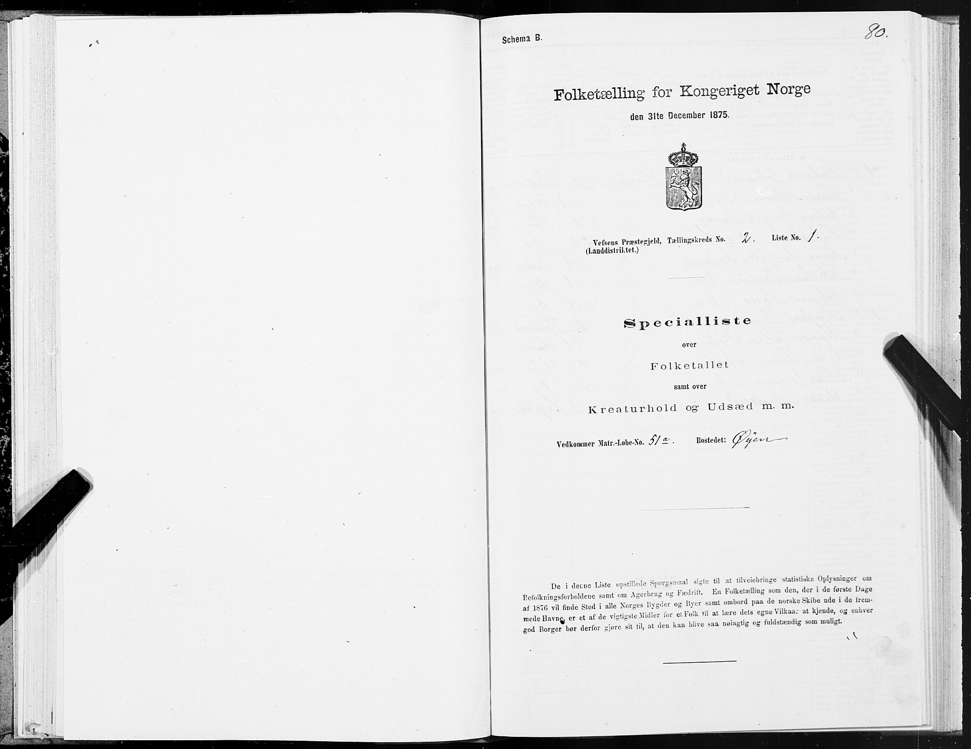 SAT, Folketelling 1875 for 1824L Vefsn prestegjeld, Vefsn sokn, 1875, s. 1080