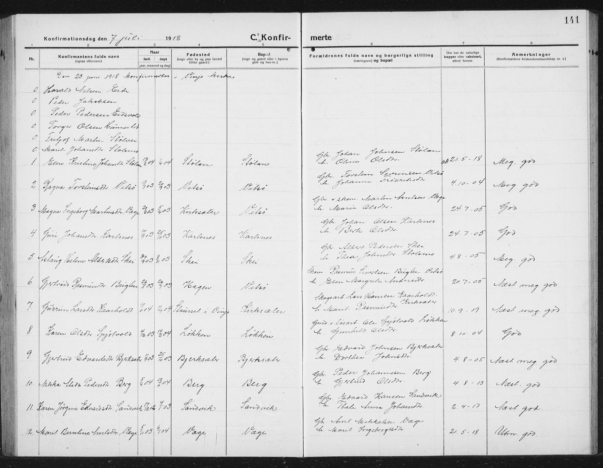 Ministerialprotokoller, klokkerbøker og fødselsregistre - Sør-Trøndelag, AV/SAT-A-1456/630/L0506: Klokkerbok nr. 630C04, 1914-1933, s. 141