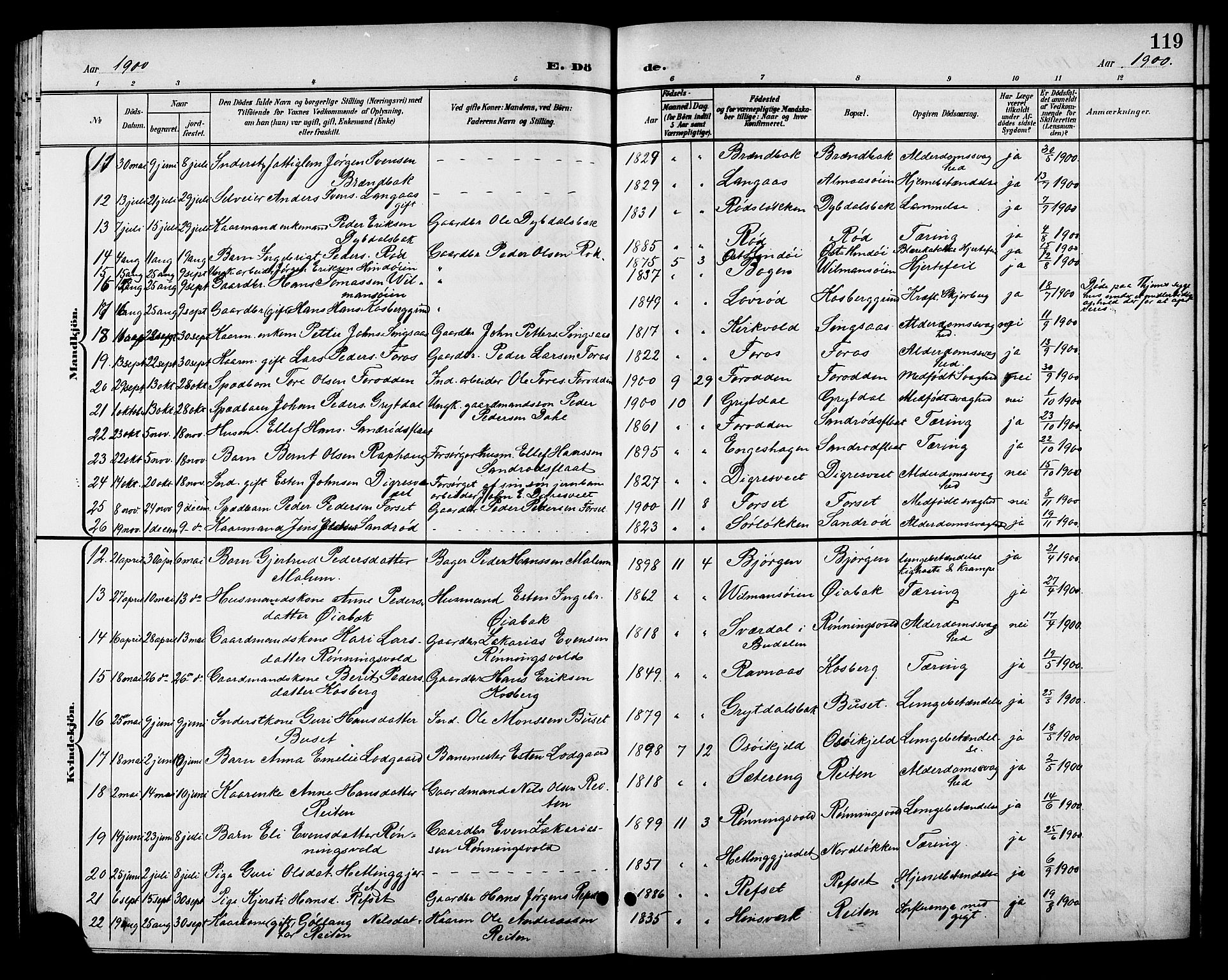 Ministerialprotokoller, klokkerbøker og fødselsregistre - Sør-Trøndelag, AV/SAT-A-1456/688/L1029: Klokkerbok nr. 688C04, 1899-1915, s. 119