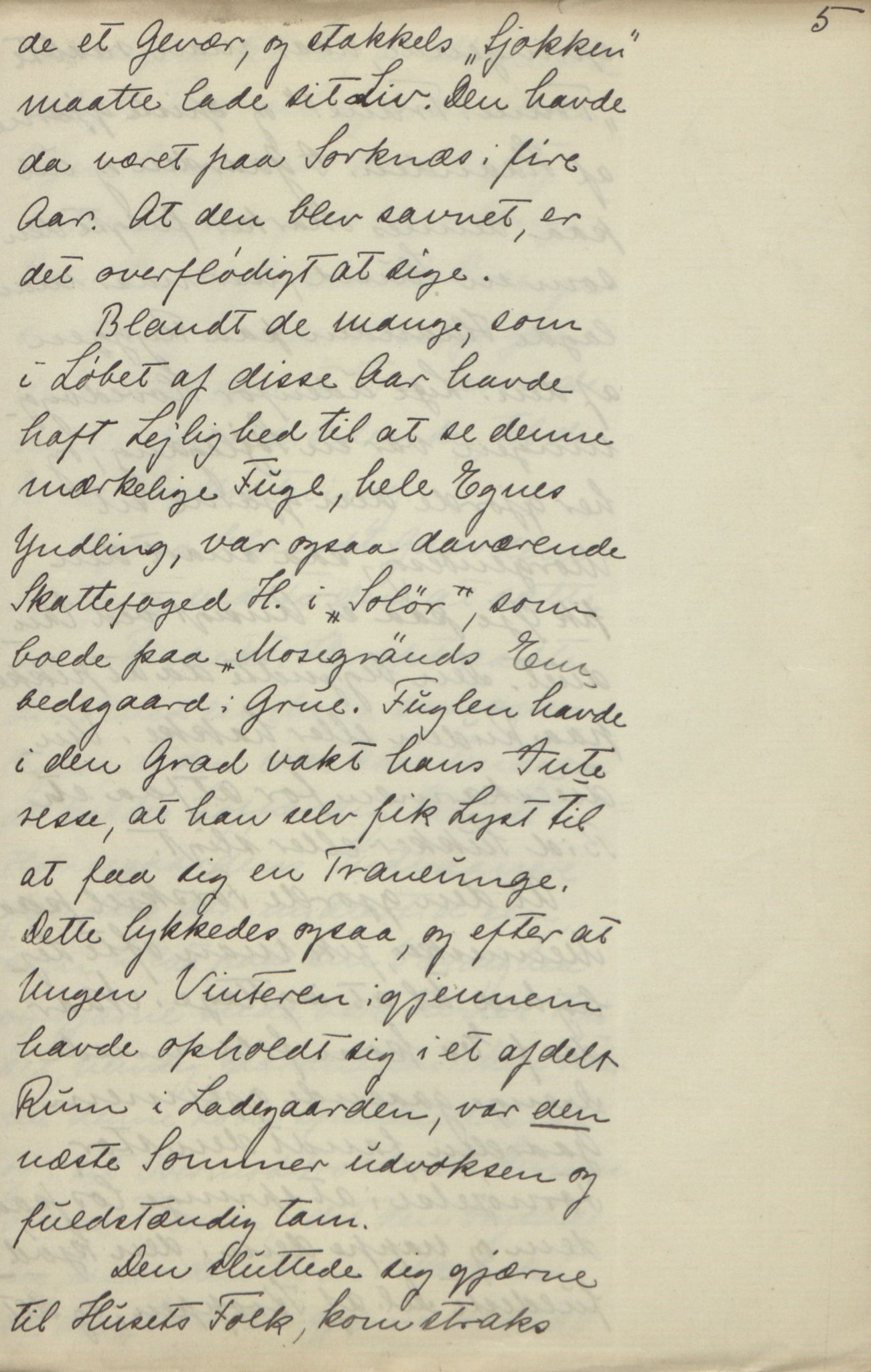 Rikard Berge, TEMU/TGM-A-1003/F/L0018/0056: 600-656 / 655 Brev, kataloger og andre papir til Rikard Berge. Konvolutten merka: Postpapir8, 1910-1950