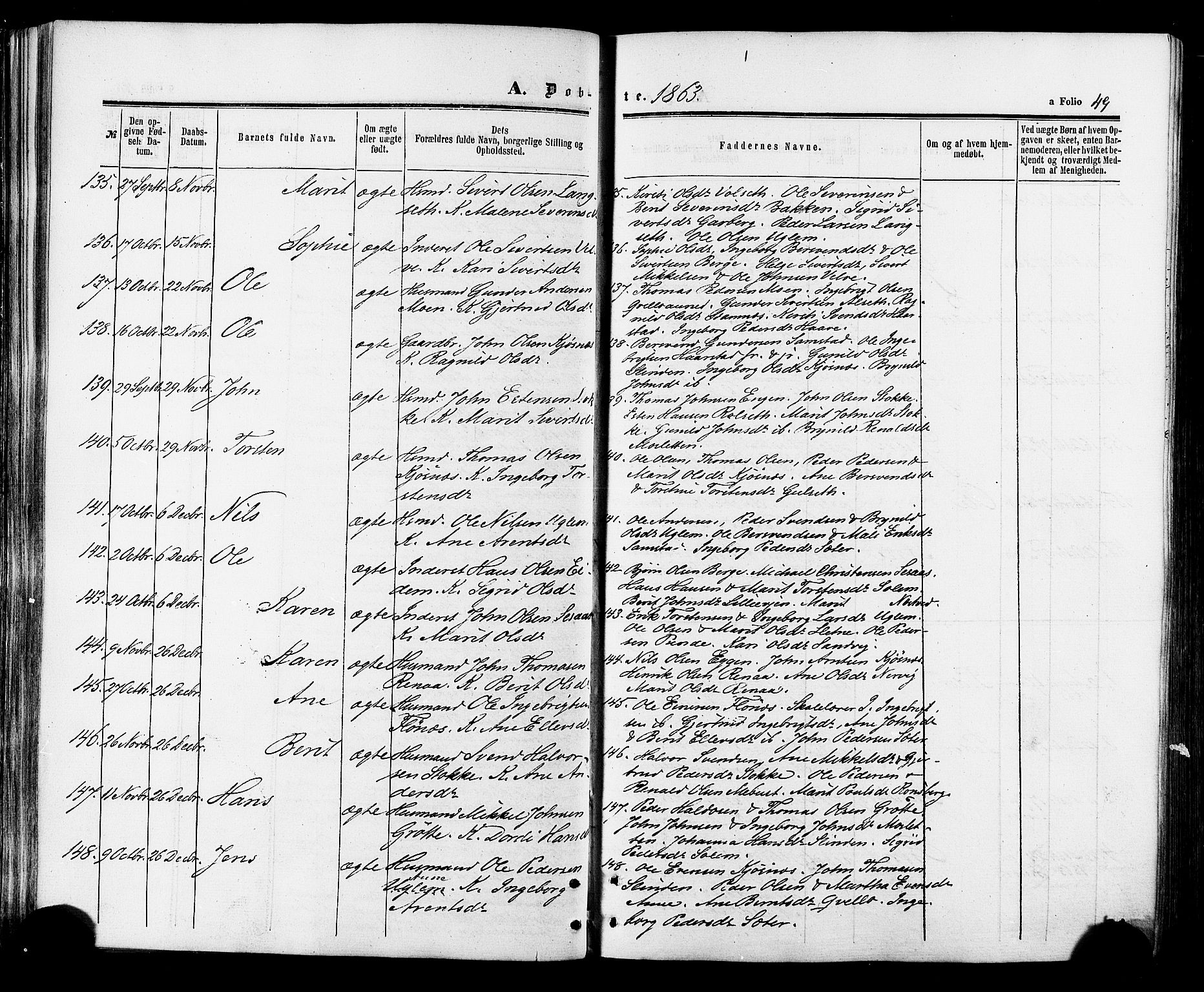 Ministerialprotokoller, klokkerbøker og fødselsregistre - Sør-Trøndelag, SAT/A-1456/695/L1147: Ministerialbok nr. 695A07, 1860-1877, s. 49