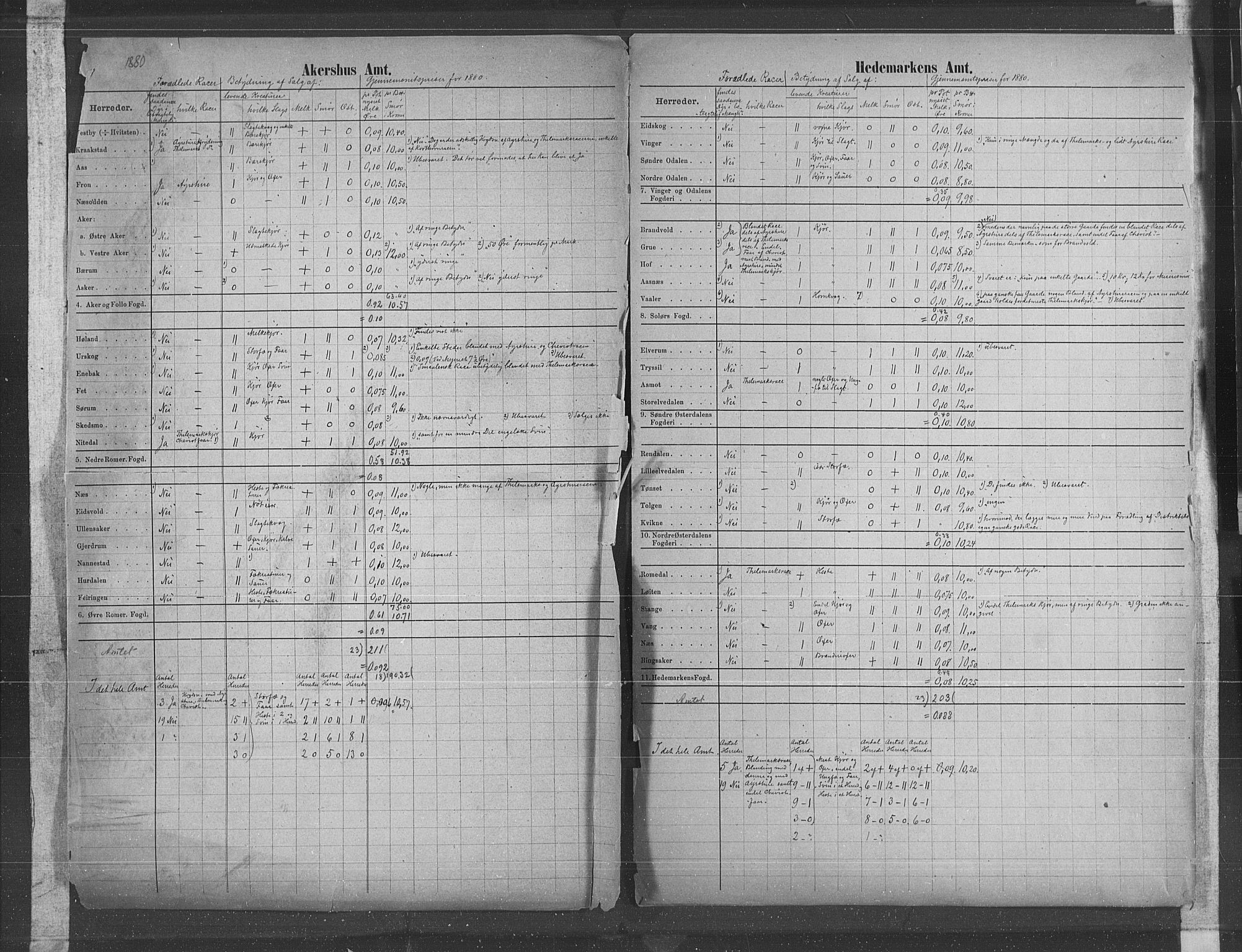 Statistisk sentralbyrå, Næringsøkonomiske emner, Generelt - Amtmennenes femårsberetninger, AV/RA-S-2233/F/Fa/L0057: --, 1876-1880, s. 25