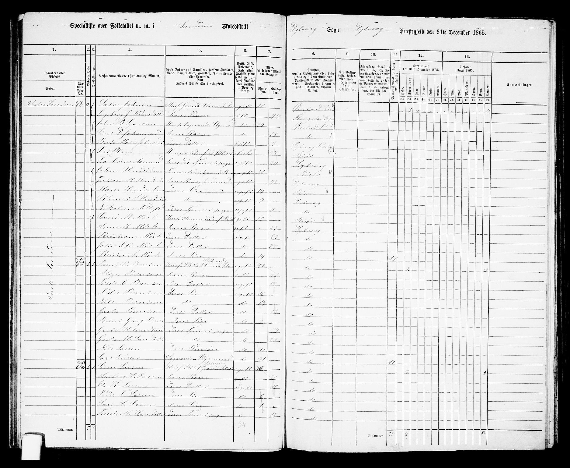 RA, Folketelling 1865 for 0915P Dypvåg prestegjeld, 1865, s. 32