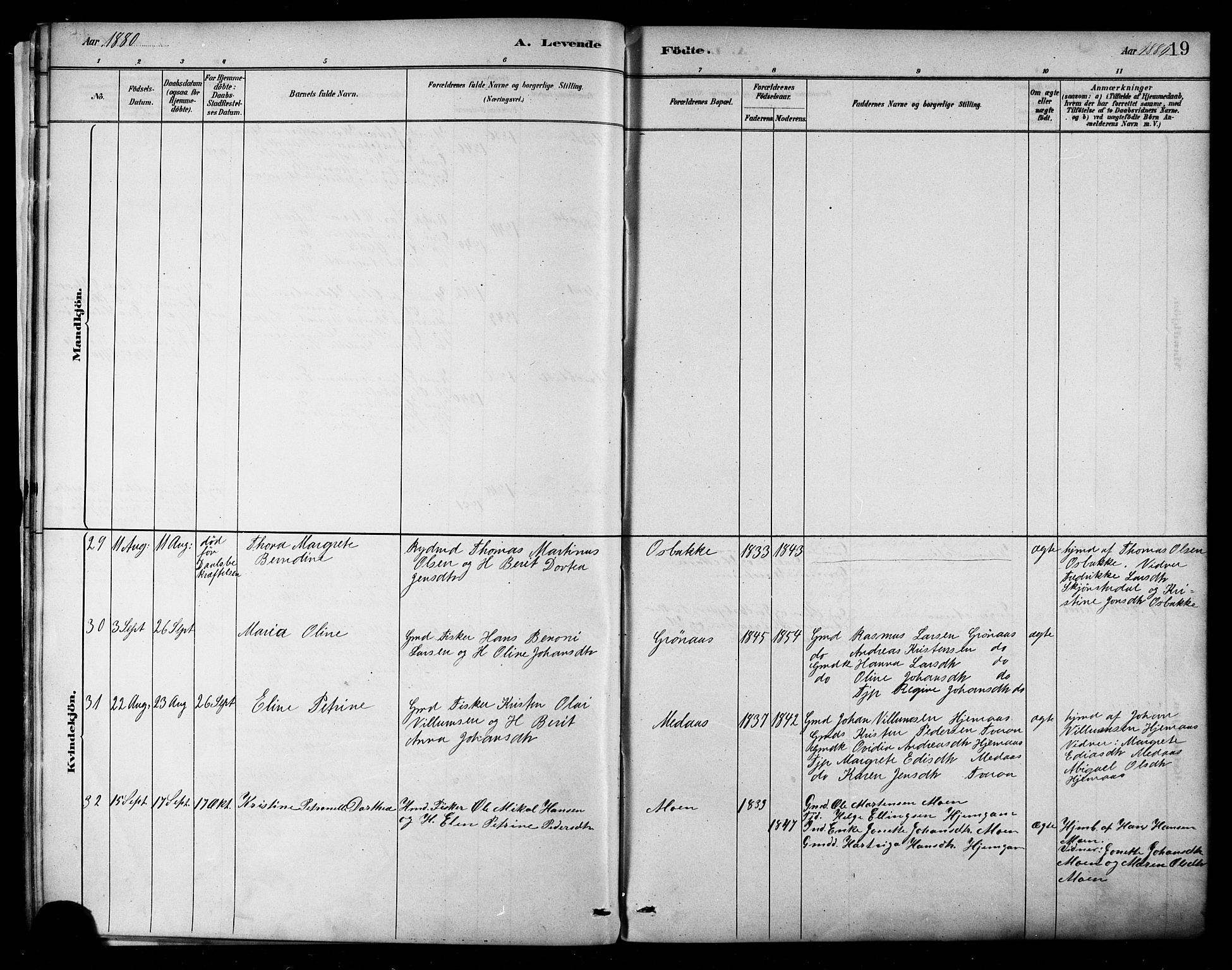 Ministerialprotokoller, klokkerbøker og fødselsregistre - Nordland, AV/SAT-A-1459/849/L0689: Ministerialbok nr. 849A01, 1879-1889, s. 19