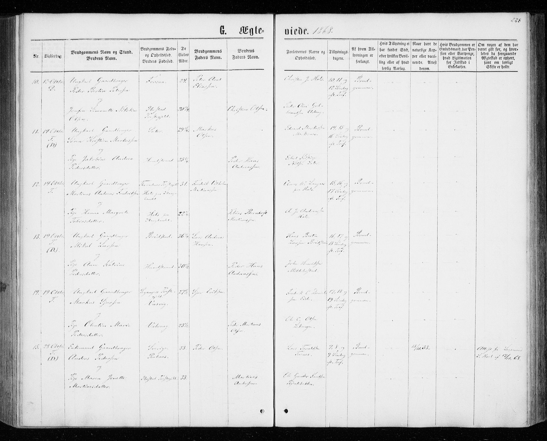 Tranøy sokneprestkontor, AV/SATØ-S-1313/I/Ia/Iaa/L0008kirke: Ministerialbok nr. 8, 1867-1877, s. 228