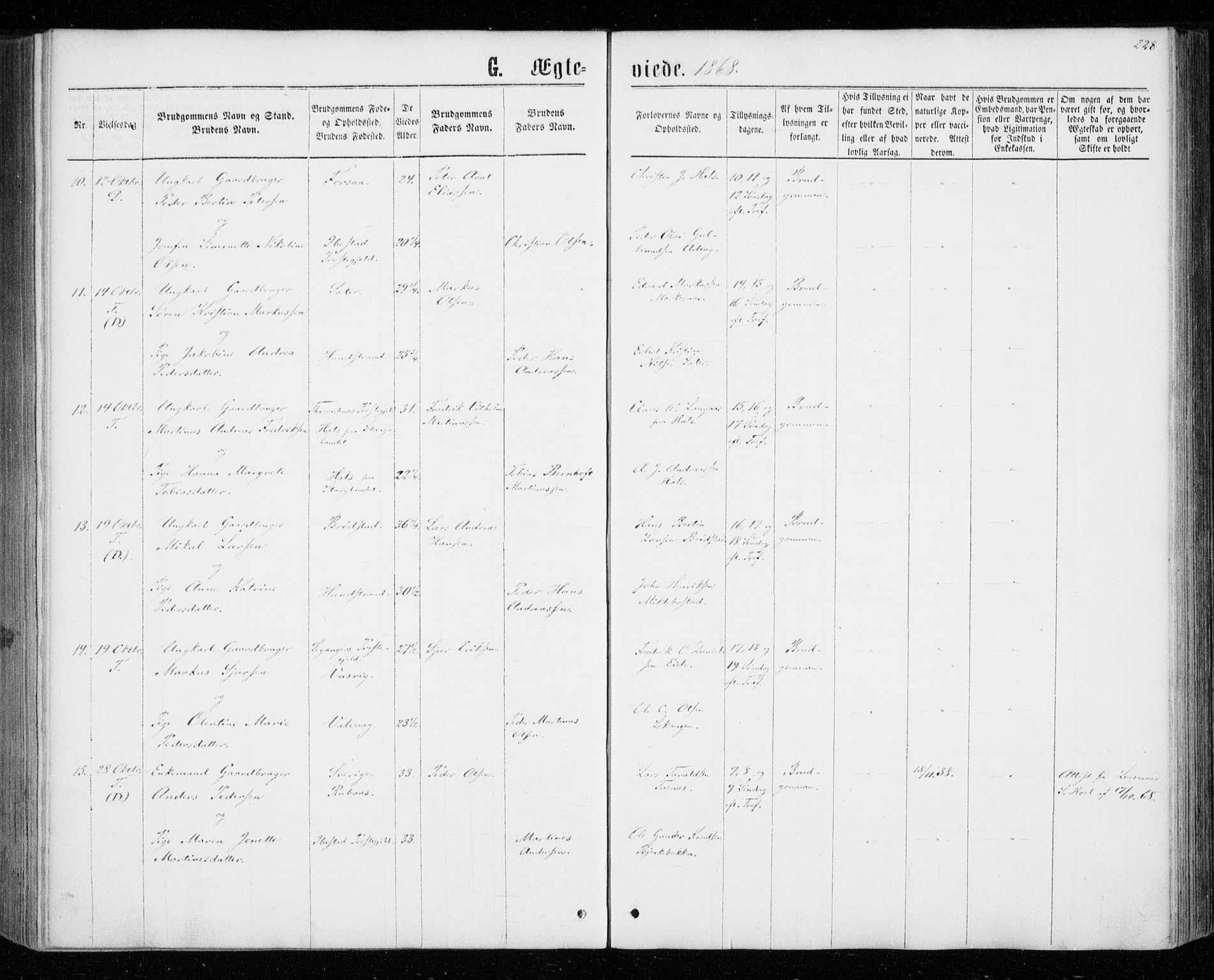 Tranøy sokneprestkontor, SATØ/S-1313/I/Ia/Iaa/L0008kirke: Ministerialbok nr. 8, 1867-1877, s. 228