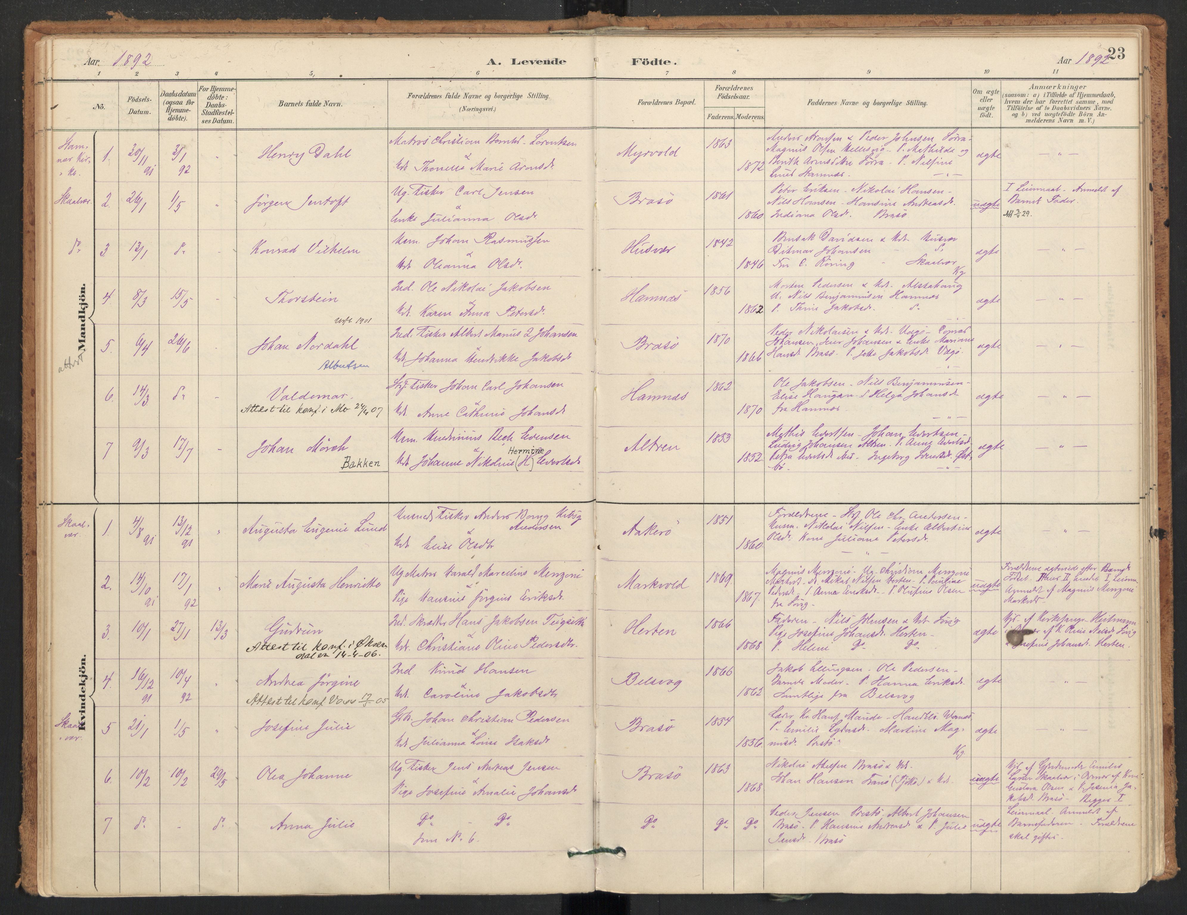 Ministerialprotokoller, klokkerbøker og fødselsregistre - Nordland, AV/SAT-A-1459/830/L0453: Ministerialbok nr. 830A17, 1886-1911, s. 23