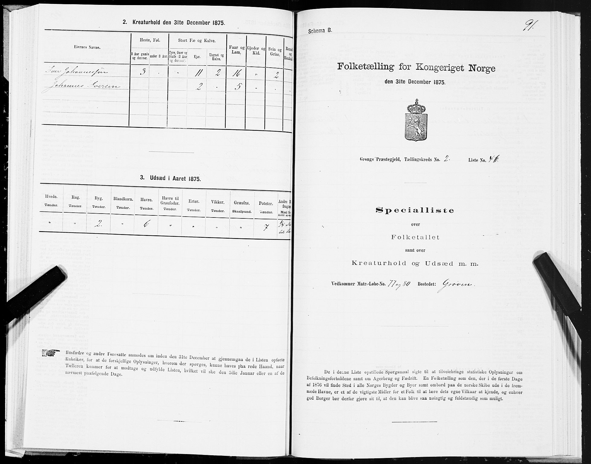 SAT, Folketelling 1875 for 1742P Grong prestegjeld, 1875, s. 2091