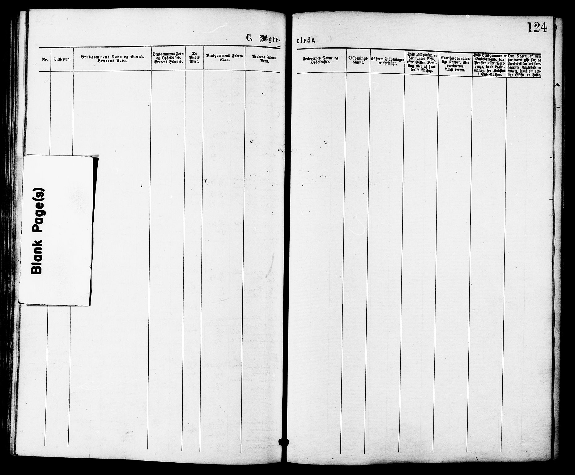 Ministerialprotokoller, klokkerbøker og fødselsregistre - Møre og Romsdal, AV/SAT-A-1454/524/L0355: Ministerialbok nr. 524A07, 1864-1879, s. 124