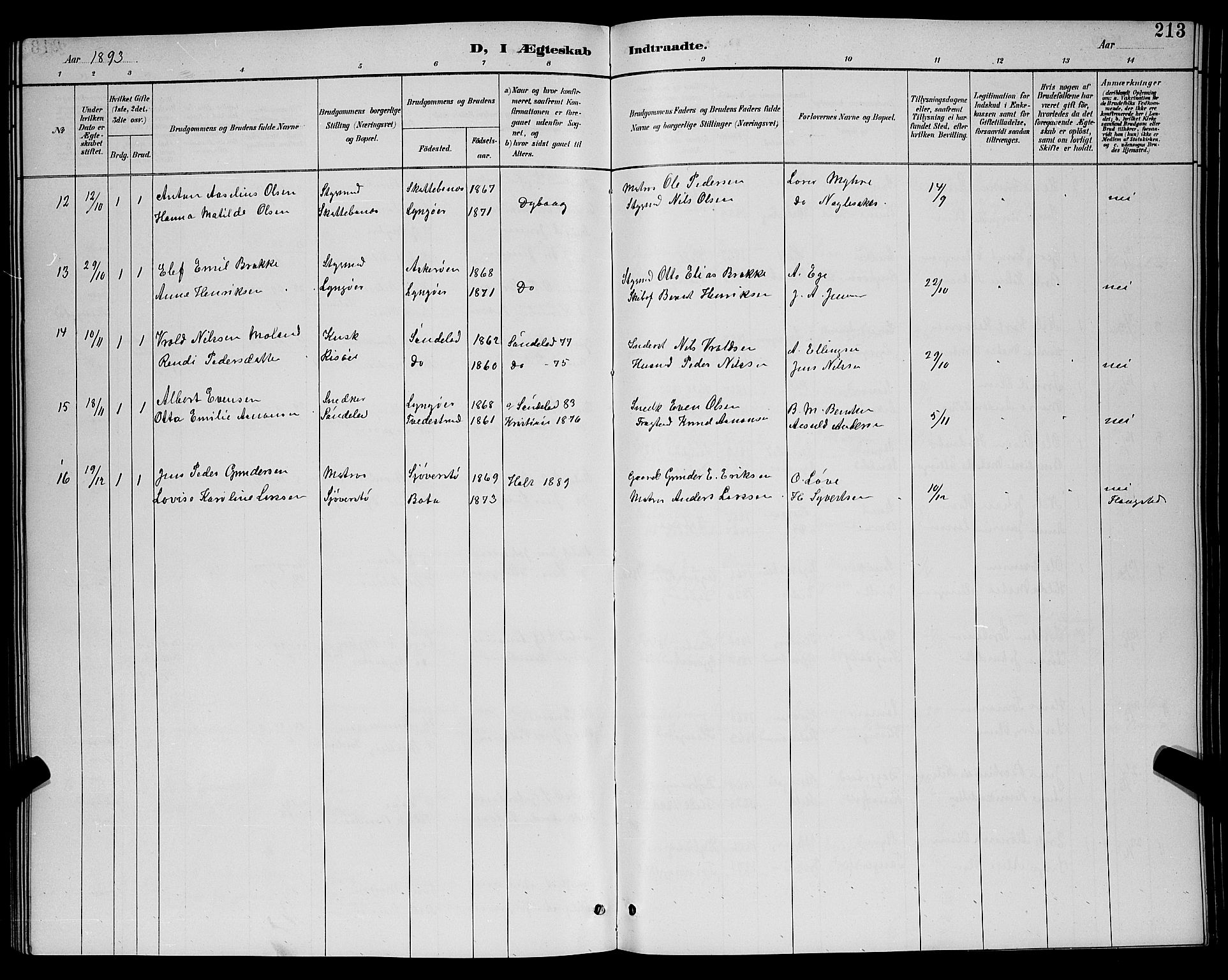 Dypvåg sokneprestkontor, AV/SAK-1111-0007/F/Fb/Fba/L0013: Klokkerbok nr. B 13, 1887-1900, s. 213