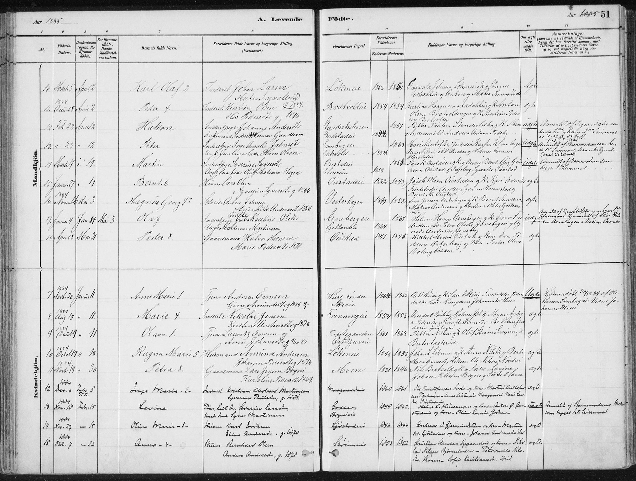 Romedal prestekontor, AV/SAH-PREST-004/K/L0010: Ministerialbok nr. 10, 1880-1895, s. 51