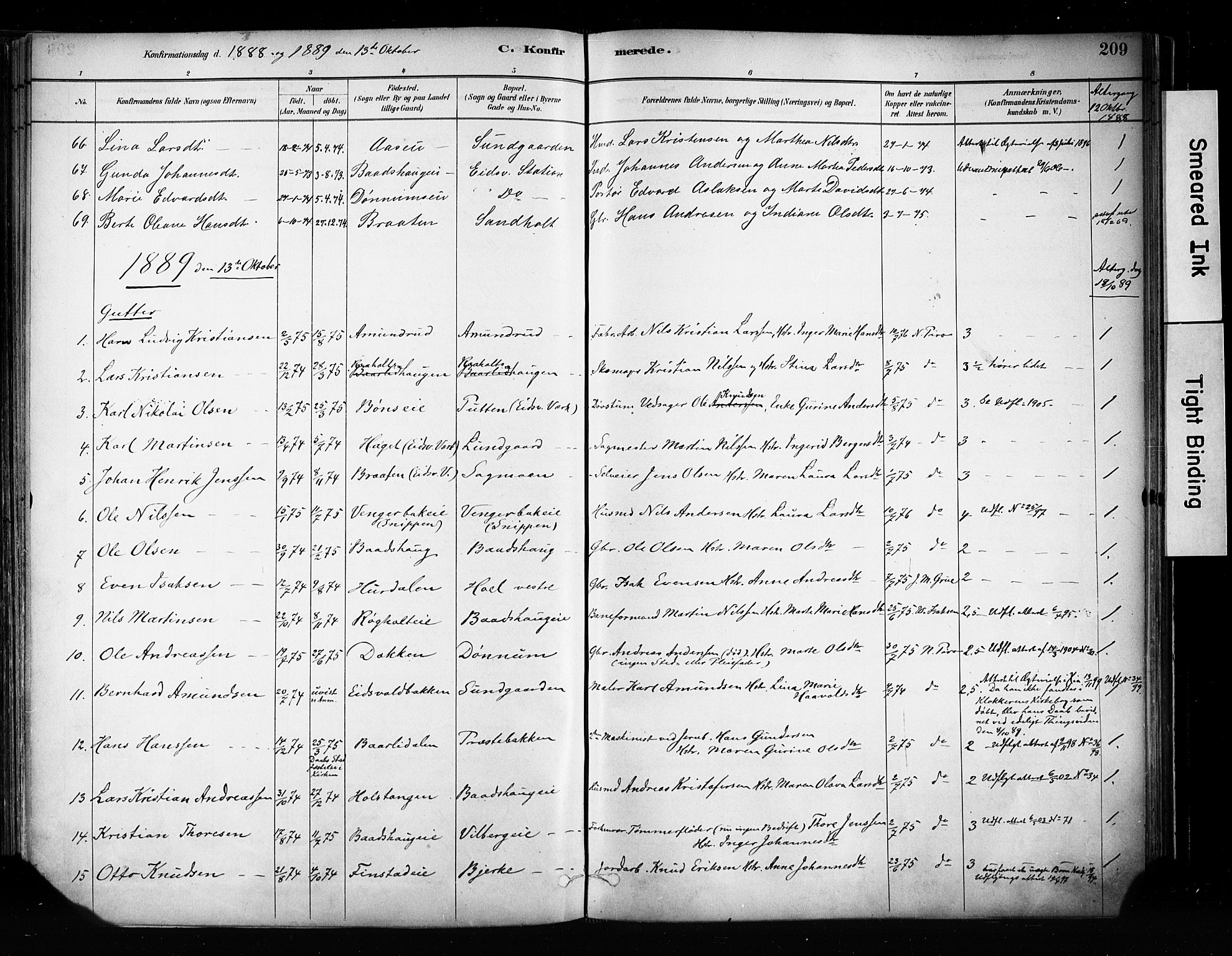 Eidsvoll prestekontor Kirkebøker, AV/SAO-A-10888/F/Fa/L0002: Ministerialbok nr. I 2, 1882-1895, s. 209