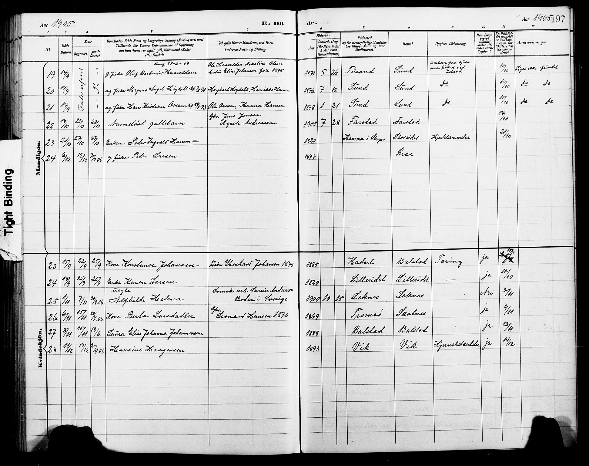 Ministerialprotokoller, klokkerbøker og fødselsregistre - Nordland, AV/SAT-A-1459/881/L1168: Klokkerbok nr. 881C05, 1900-1911, s. 197