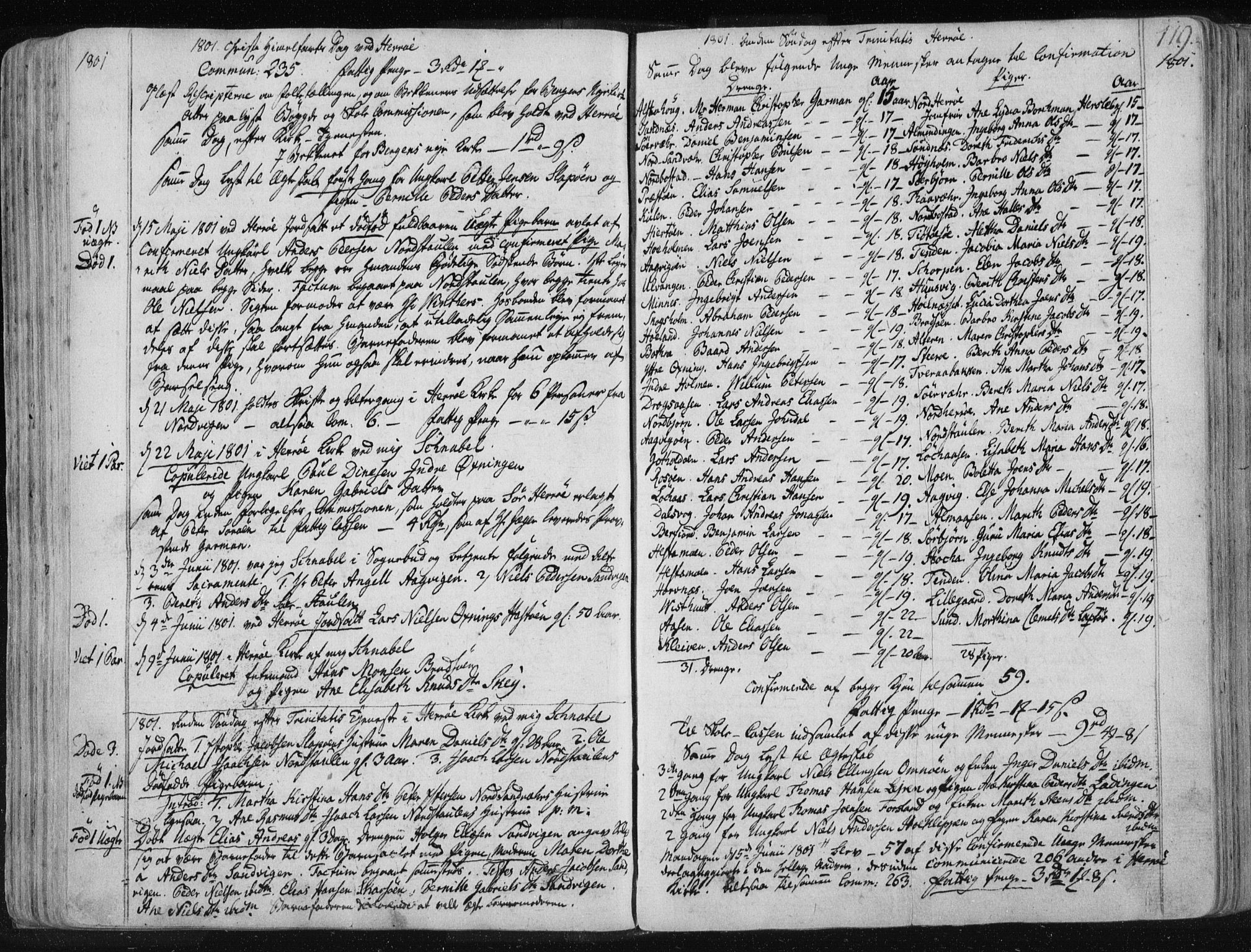 Ministerialprotokoller, klokkerbøker og fødselsregistre - Nordland, AV/SAT-A-1459/830/L0444: Ministerialbok nr. 830A08, 1801-1819, s. 119