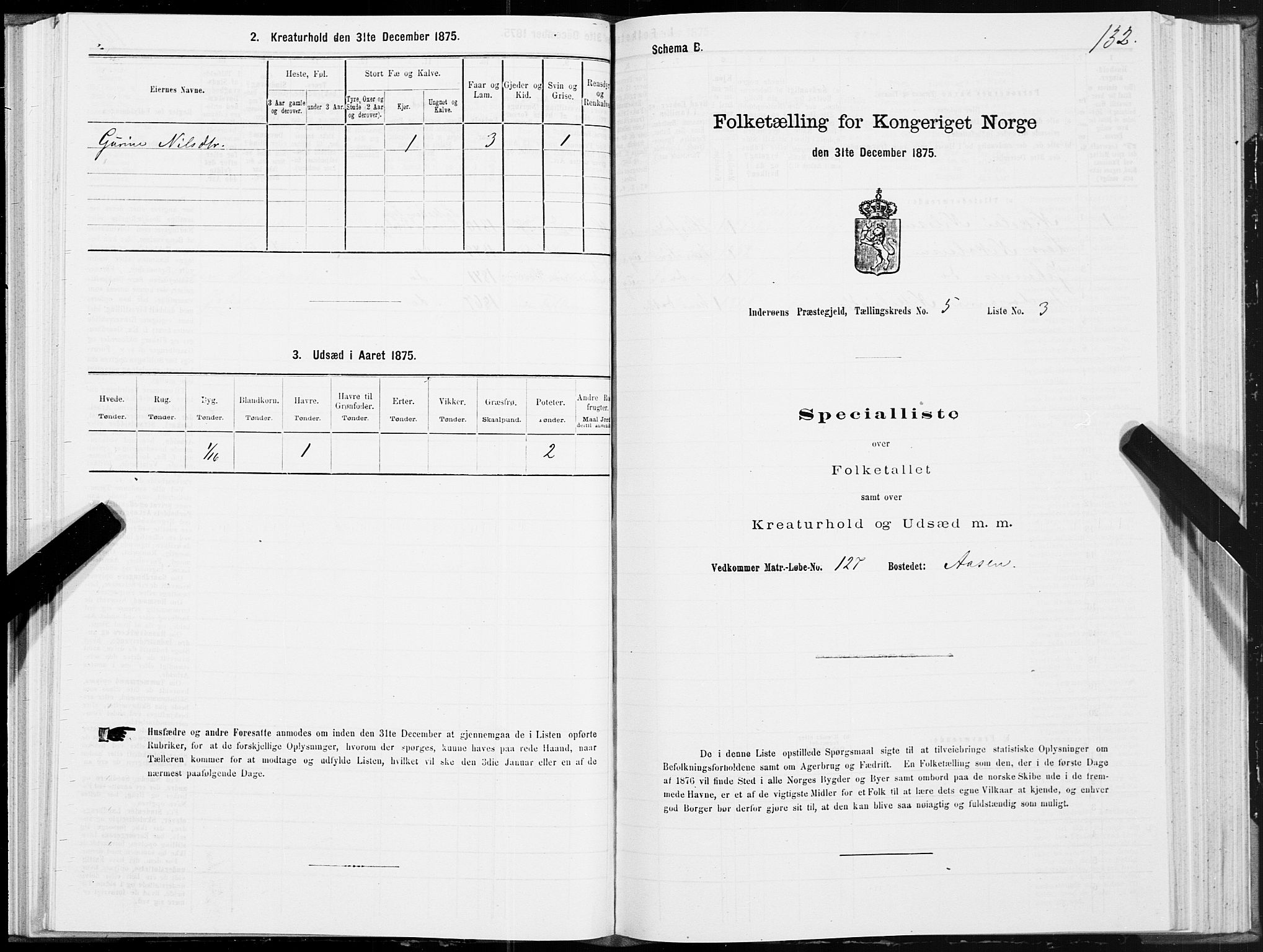 SAT, Folketelling 1875 for 1729P Inderøy prestegjeld, 1875, s. 3132