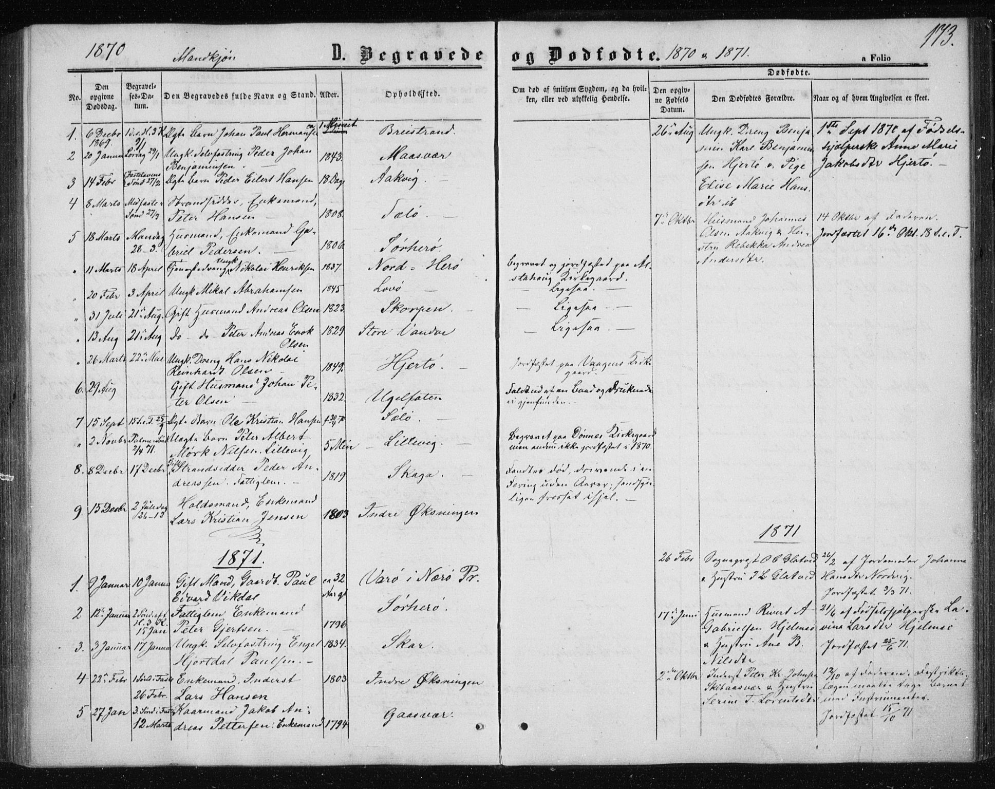 Ministerialprotokoller, klokkerbøker og fødselsregistre - Nordland, AV/SAT-A-1459/834/L0505: Ministerialbok nr. 834A03, 1862-1871, s. 173