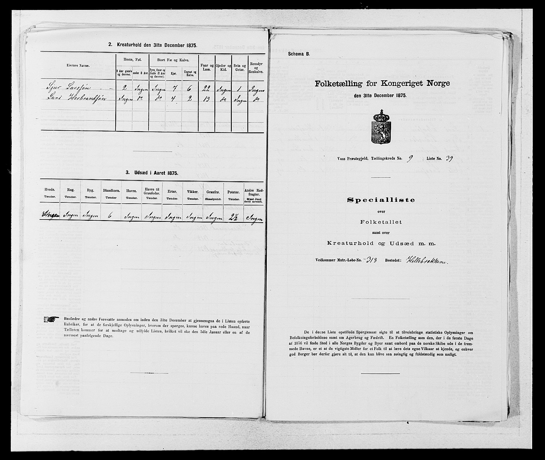 SAB, Folketelling 1875 for 1235P Voss prestegjeld, 1875, s. 1123