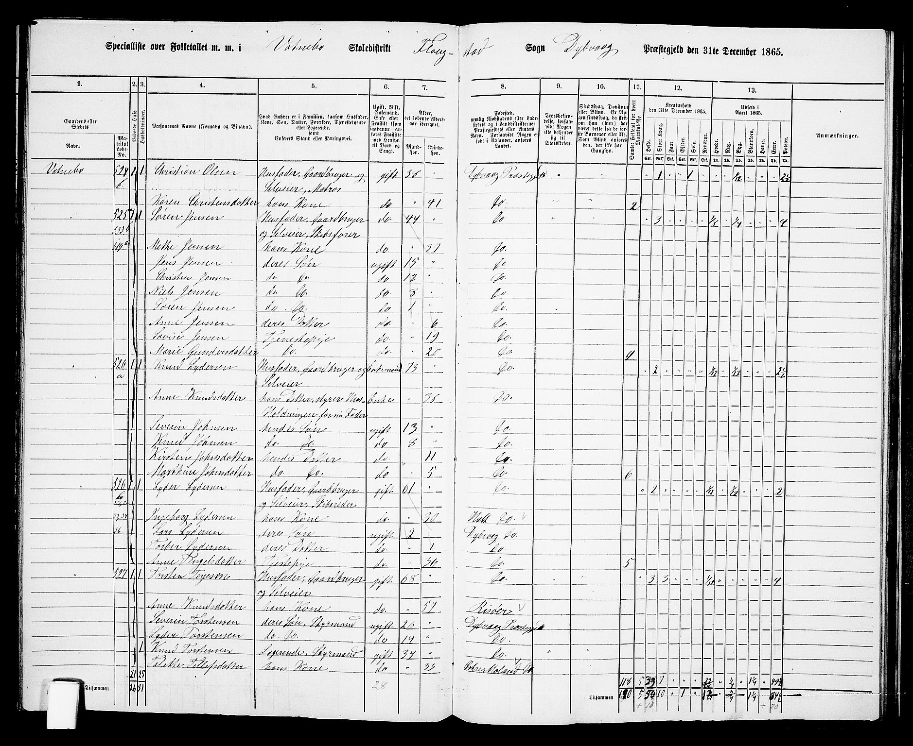 RA, Folketelling 1865 for 0915P Dypvåg prestegjeld, 1865, s. 152