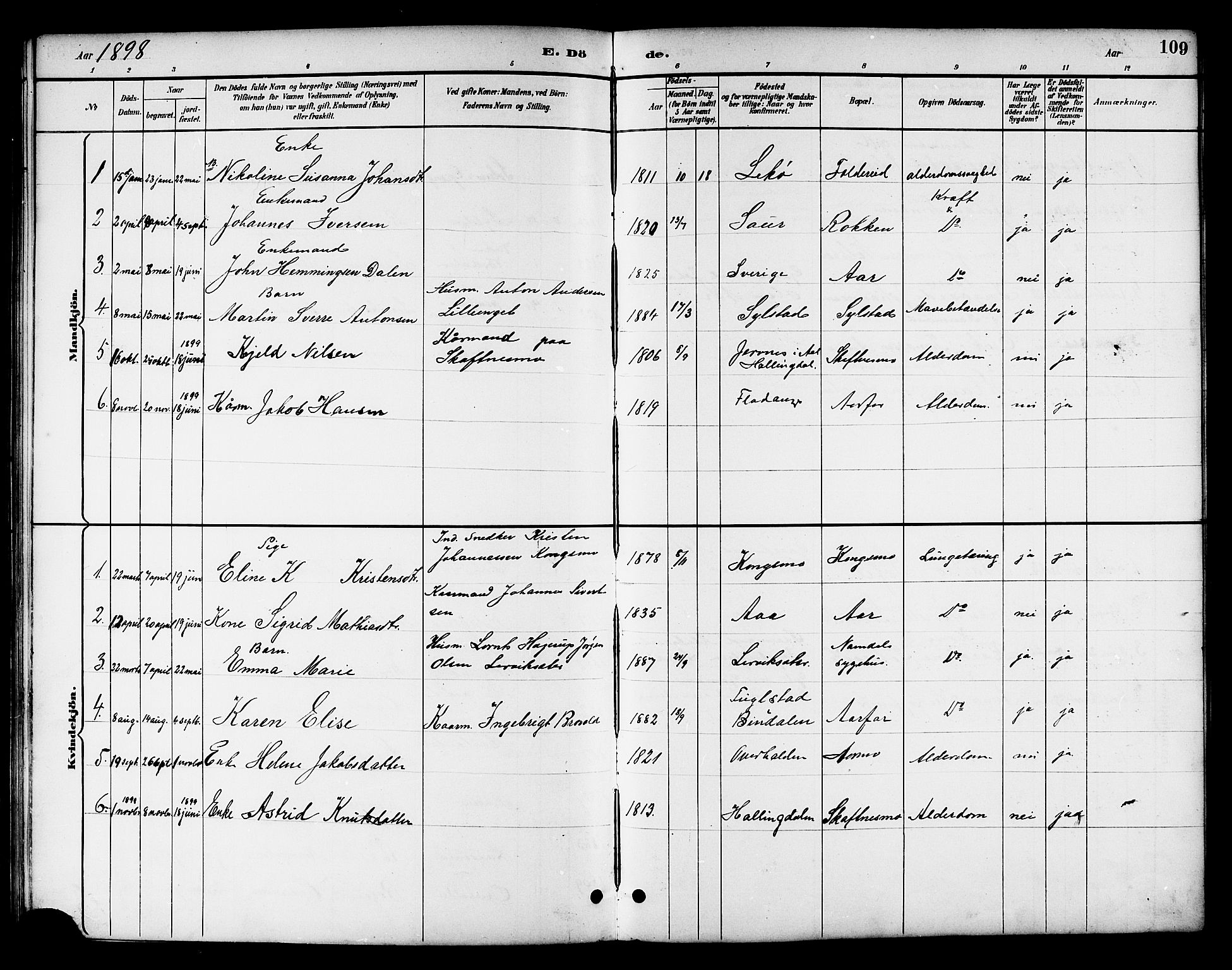 Ministerialprotokoller, klokkerbøker og fødselsregistre - Nord-Trøndelag, SAT/A-1458/783/L0662: Klokkerbok nr. 783C02, 1894-1919, s. 109