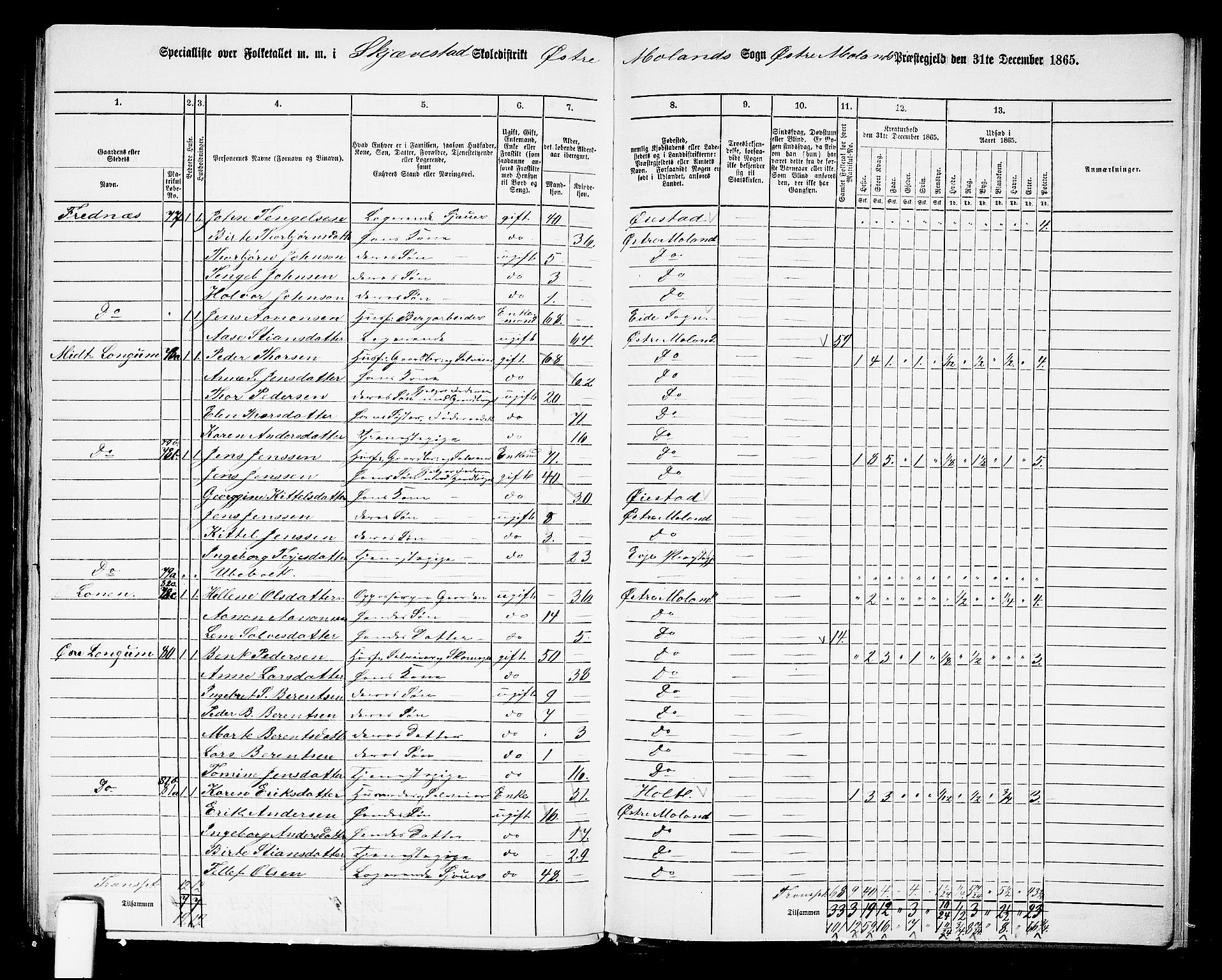 RA, Folketelling 1865 for 0918P Austre Moland prestegjeld, 1865, s. 311