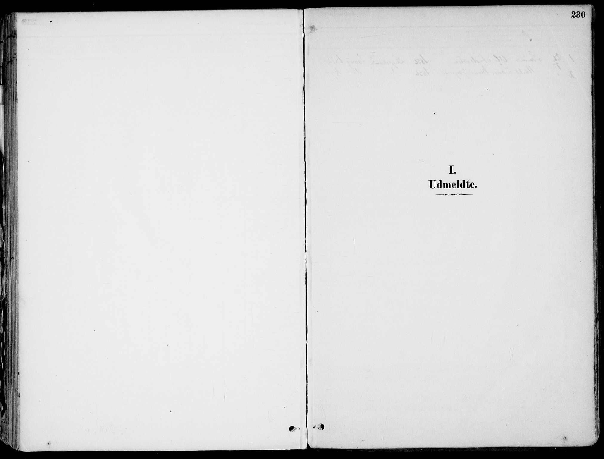 Larvik kirkebøker, SAKO/A-352/F/Fb/L0004: Ministerialbok nr. II 4, 1884-1902, s. 230