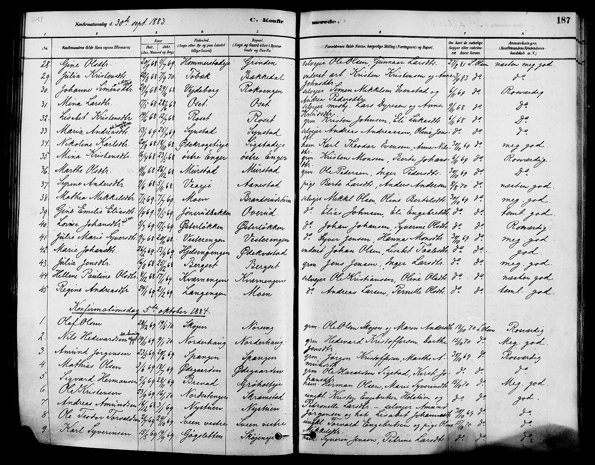 Løten prestekontor, AV/SAH-PREST-022/K/Ka/L0009: Ministerialbok nr. 9, 1878-1891, s. 187
