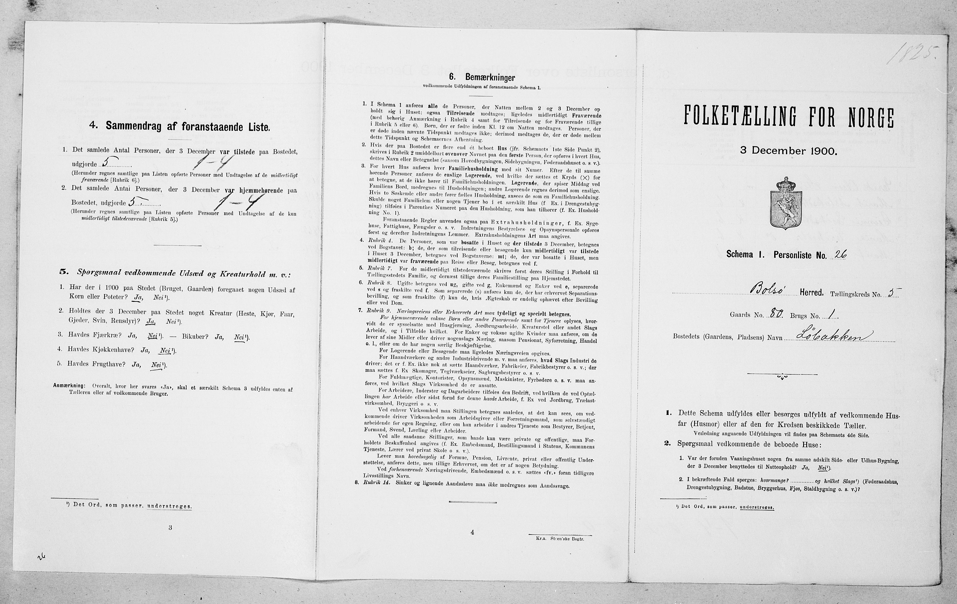 SAT, Folketelling 1900 for 1544 Bolsøy herred, 1900, s. 975