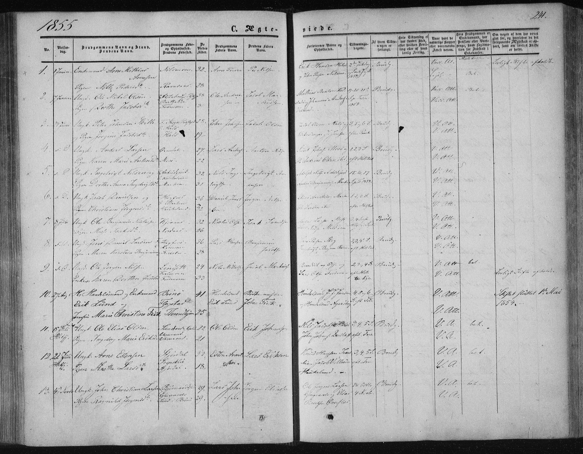 Ministerialprotokoller, klokkerbøker og fødselsregistre - Nordland, SAT/A-1459/820/L0293: Ministerialbok nr. 820A14, 1855-1865, s. 241