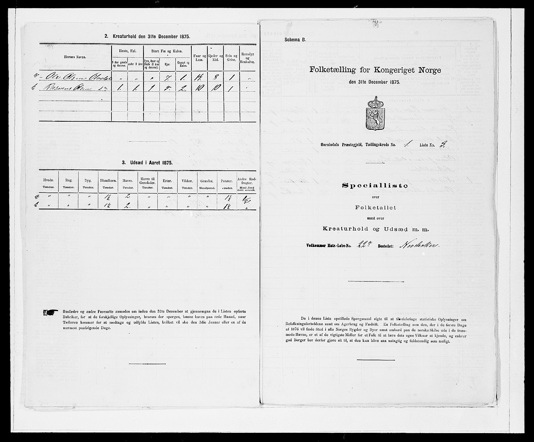 SAB, Folketelling 1875 for 1444P Hornindal prestegjeld, 1875, s. 19