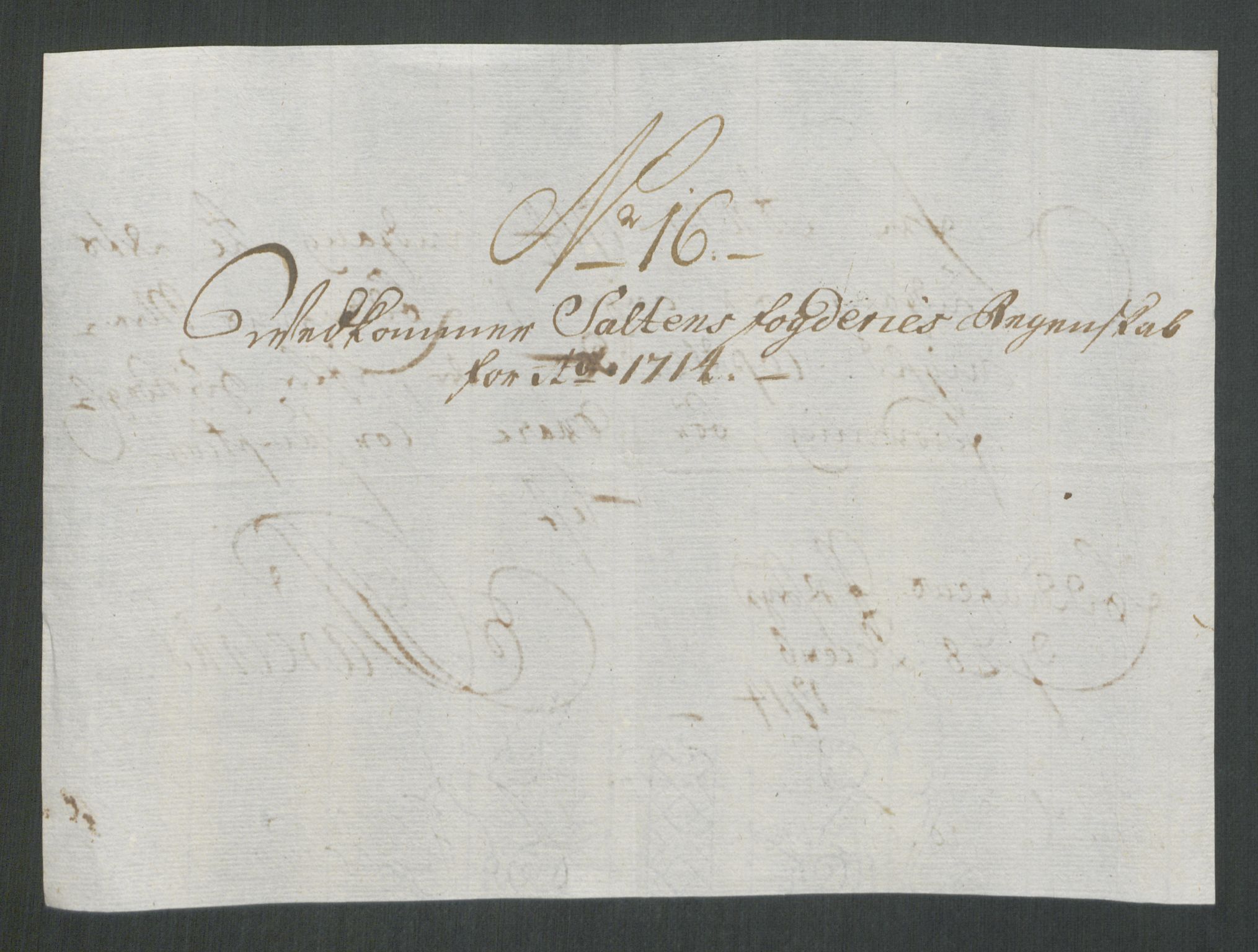 Rentekammeret inntil 1814, Reviderte regnskaper, Fogderegnskap, RA/EA-4092/R66/L4584: Fogderegnskap Salten, 1714, s. 117