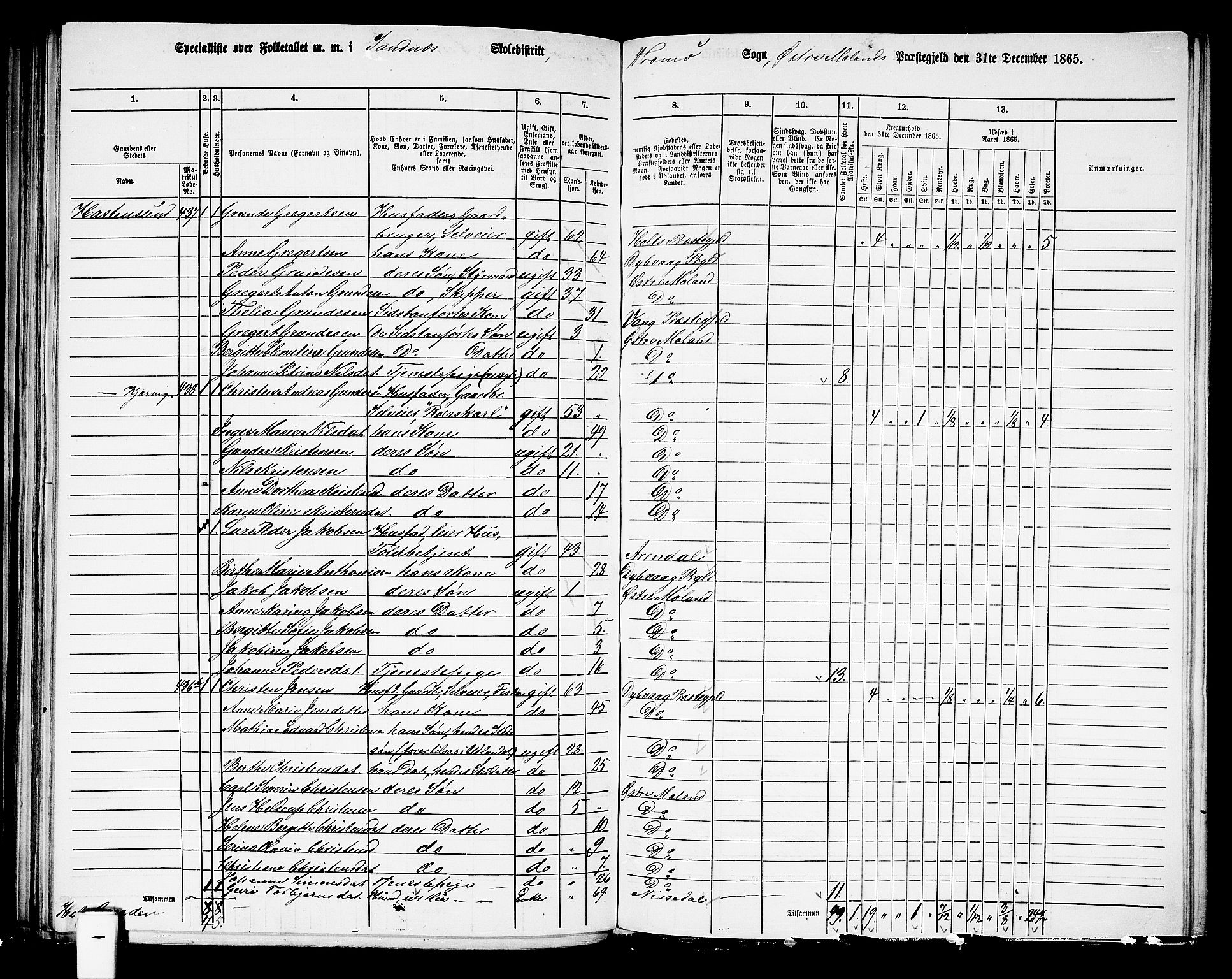 RA, Folketelling 1865 for 0918P Austre Moland prestegjeld, 1865, s. 200