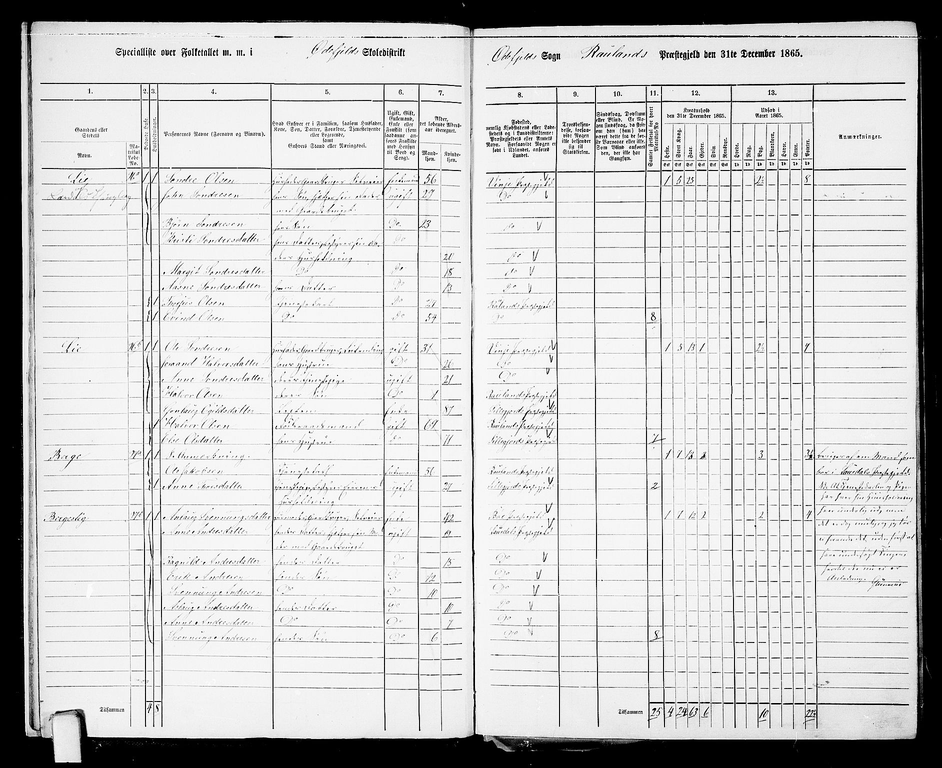 RA, Folketelling 1865 for 0835P Rauland prestegjeld, 1865, s. 12