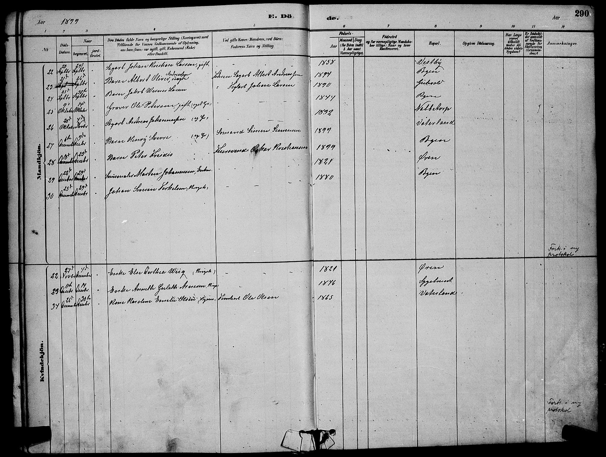Østre Fredrikstad prestekontor Kirkebøker, AV/SAO-A-10907/G/Ga/L0001: Klokkerbok nr. 1, 1880-1899, s. 290