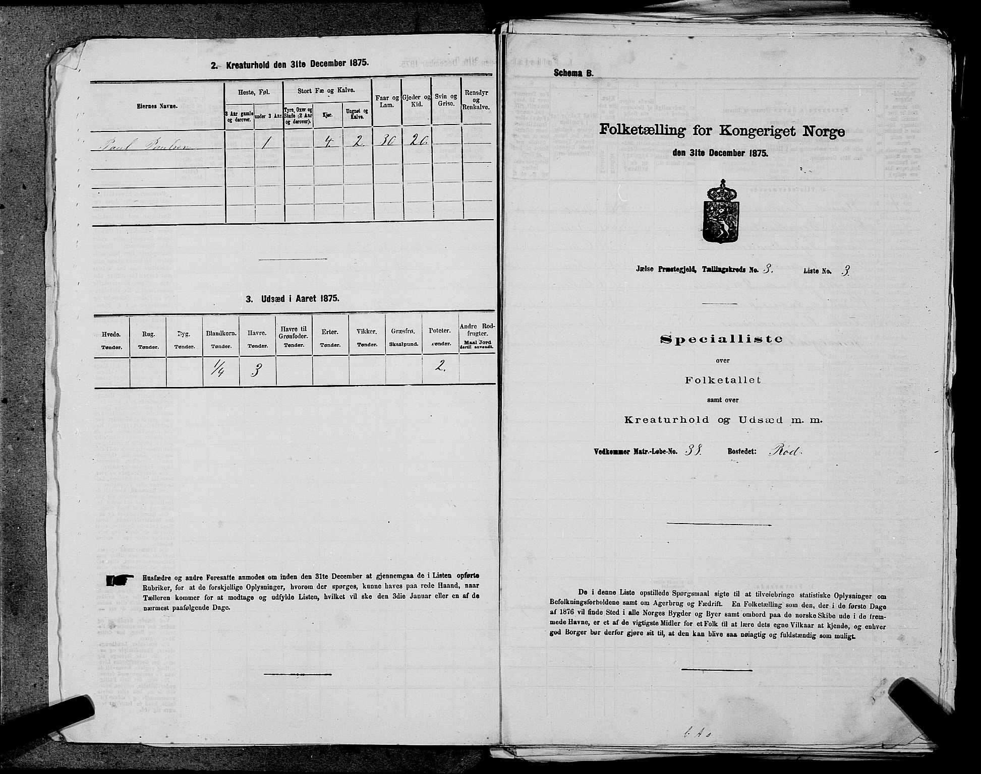 SAST, Folketelling 1875 for 1138P Jelsa prestegjeld, 1875, s. 189