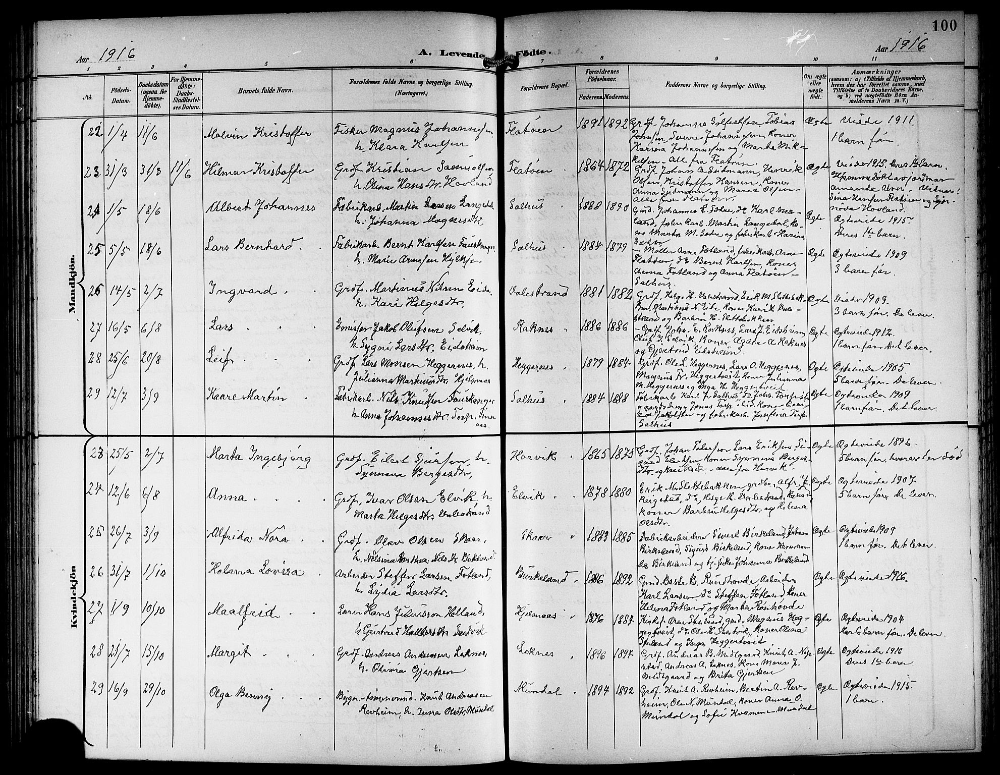 Hamre sokneprestembete, AV/SAB-A-75501/H/Ha/Hab: Klokkerbok nr. B 4, 1898-1919, s. 100