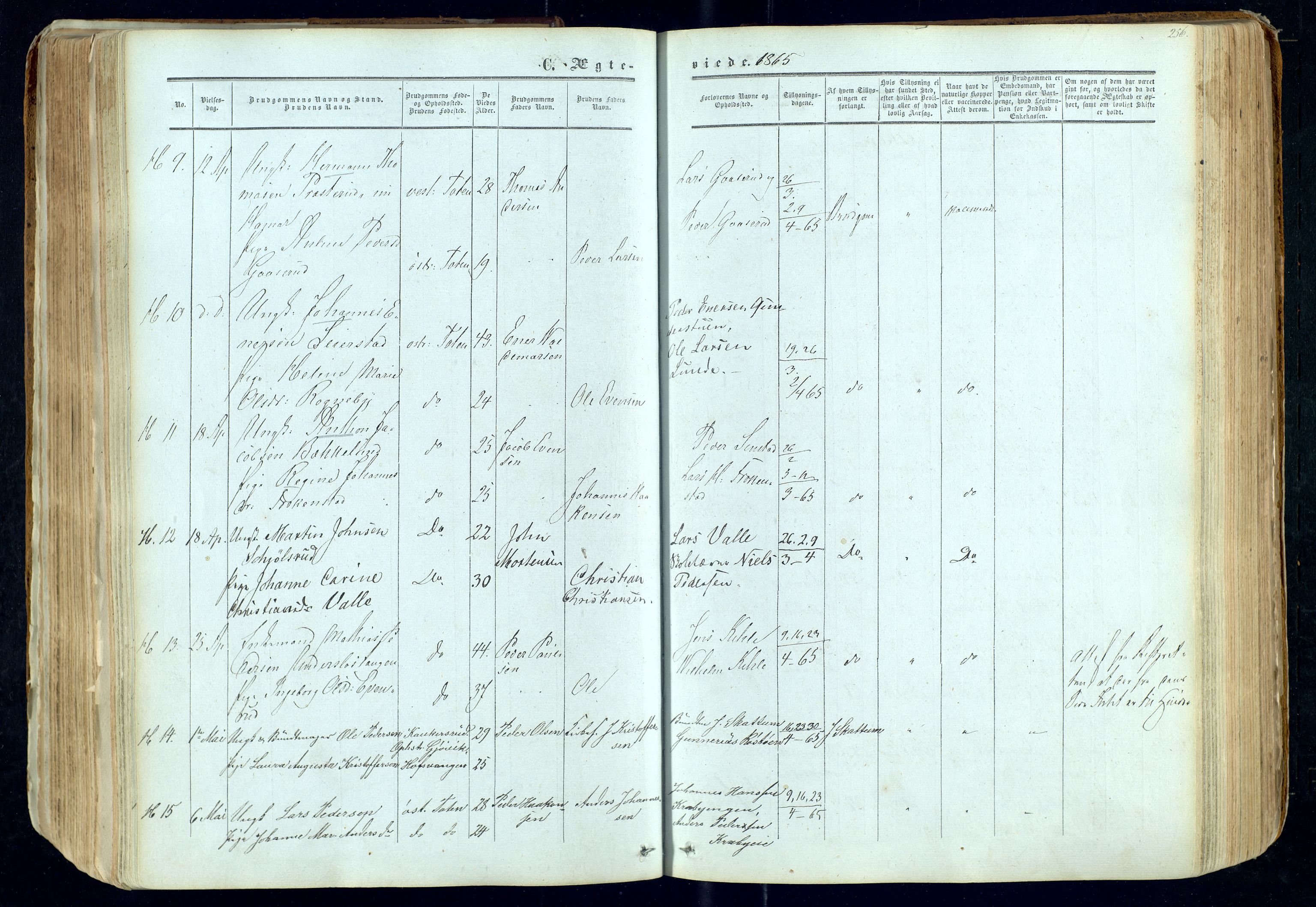 Østre Toten prestekontor, AV/SAH-PREST-104/H/Ha/Haa/L0004: Ministerialbok nr. 4, 1857-1865, s. 256